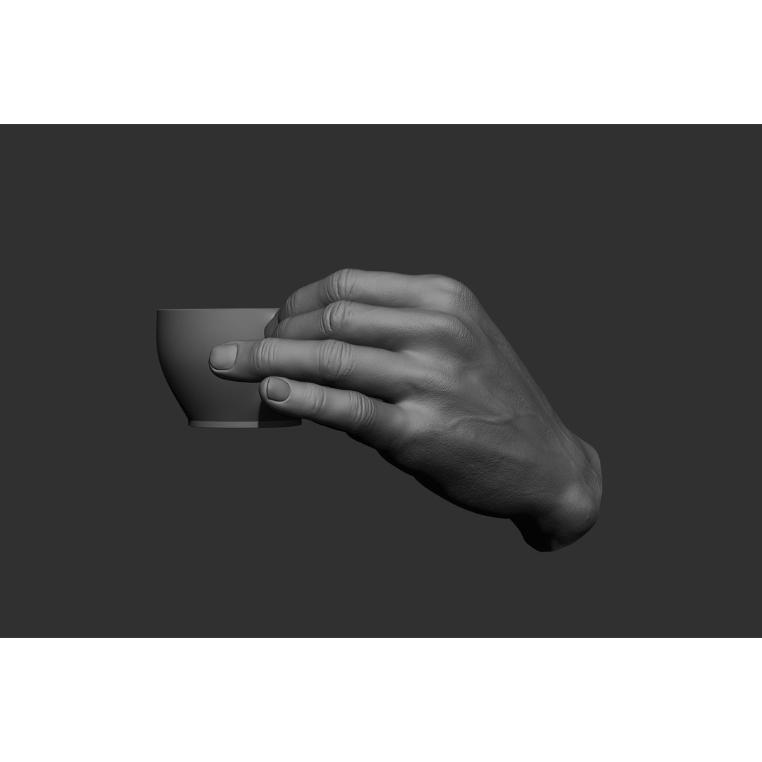 Male Hand Poses 3D Model – Realistic High Poly Collection, FBX & OBJ - View 53
