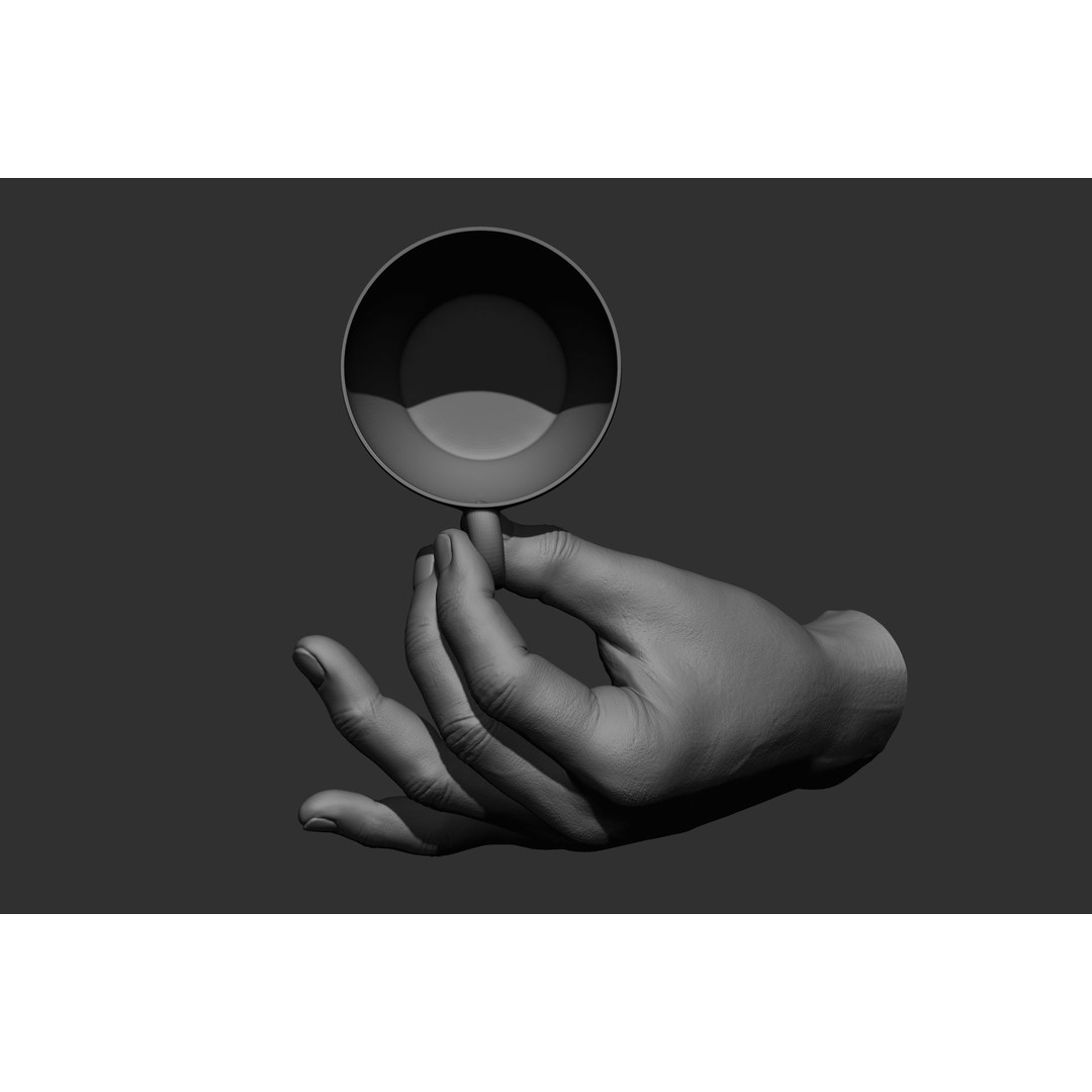 Male Hand Poses 3D Model – Realistic High Poly Collection, FBX & OBJ - View 57