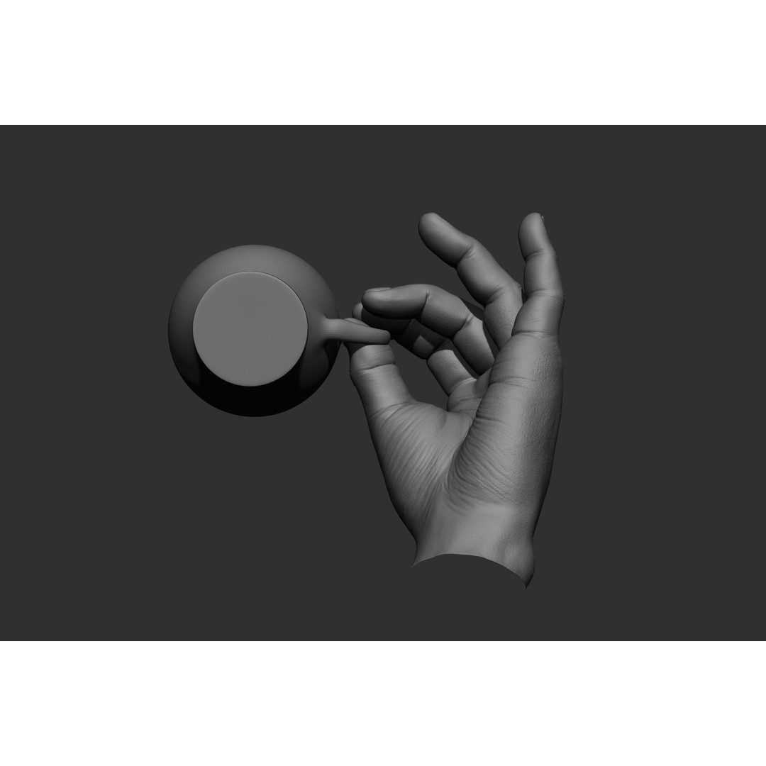 Male Hand Poses 3D Model – Realistic High Poly Collection, FBX & OBJ - View 58