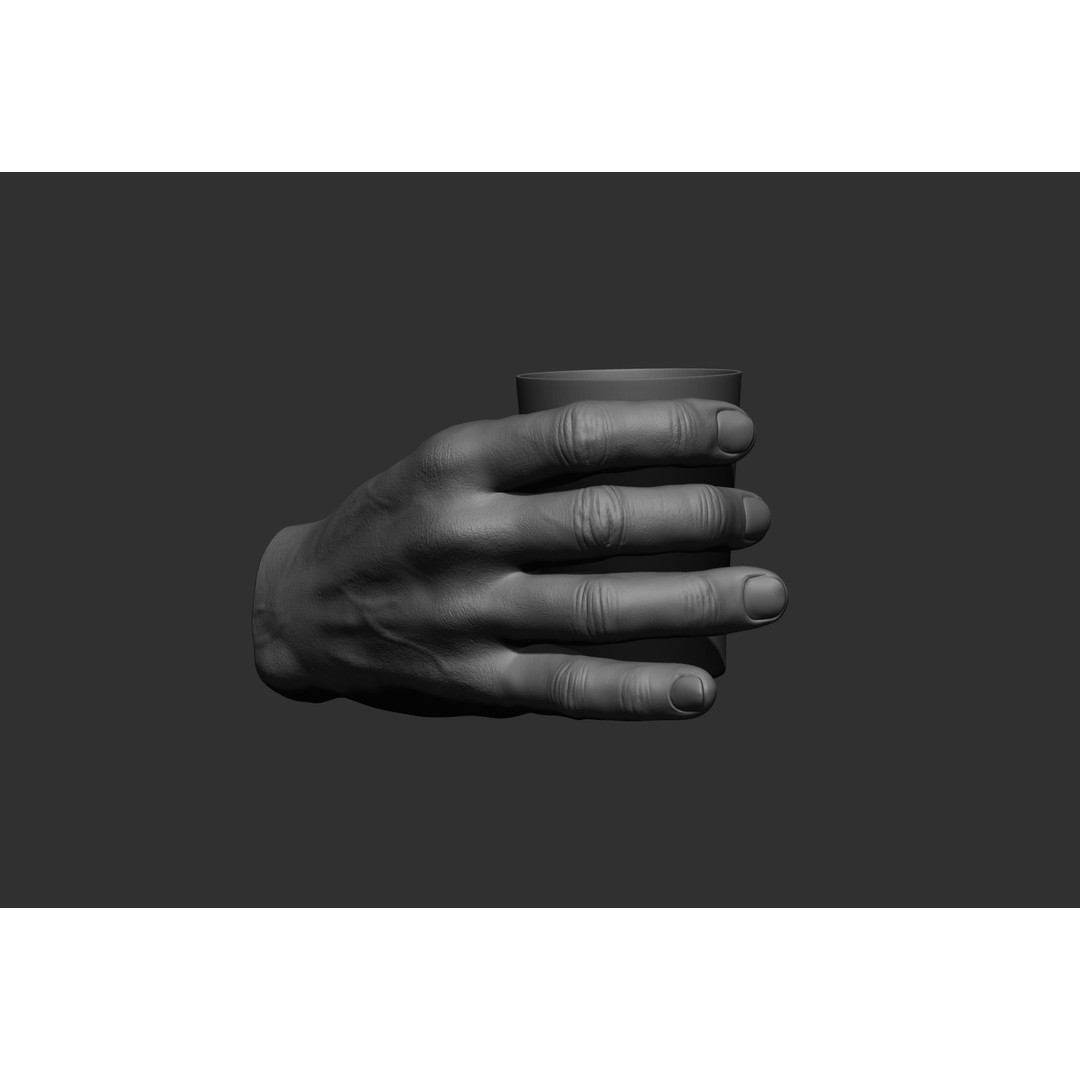 Male Hand Poses 3D Model – Realistic High Poly Collection, FBX & OBJ - View 8