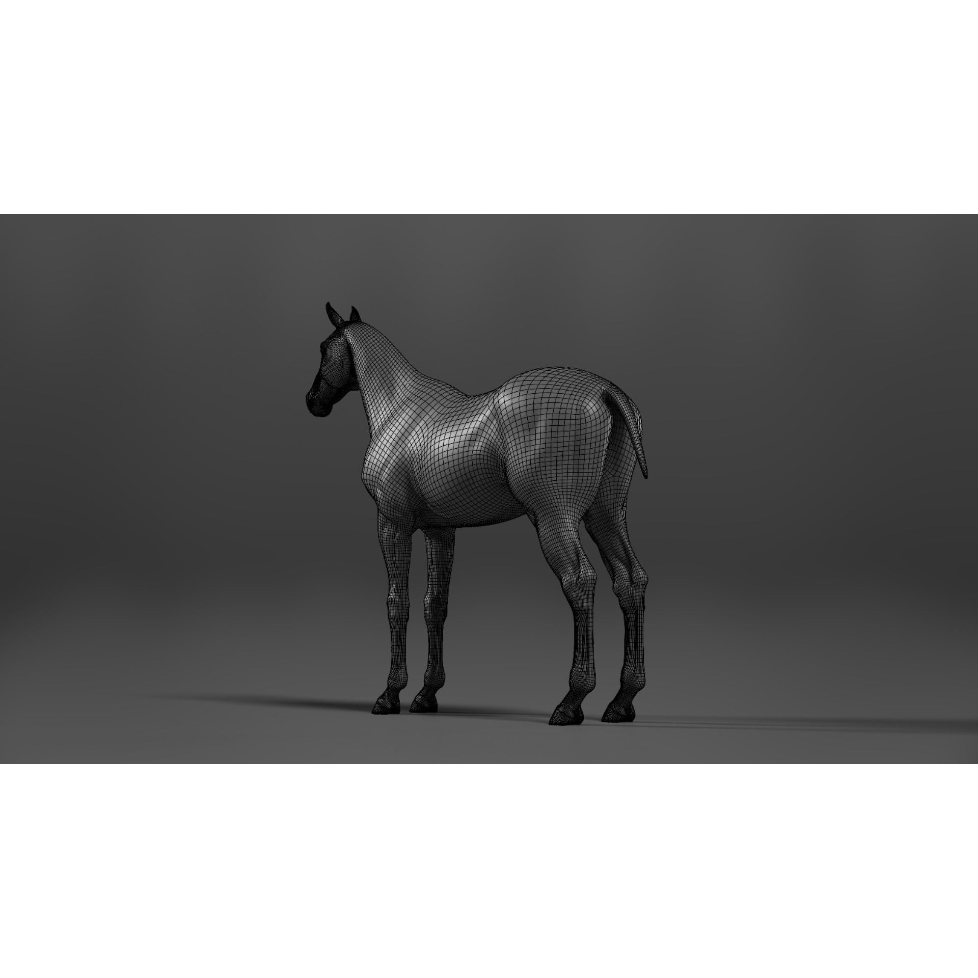Brown Horse Animation - Game-Ready 3D Model