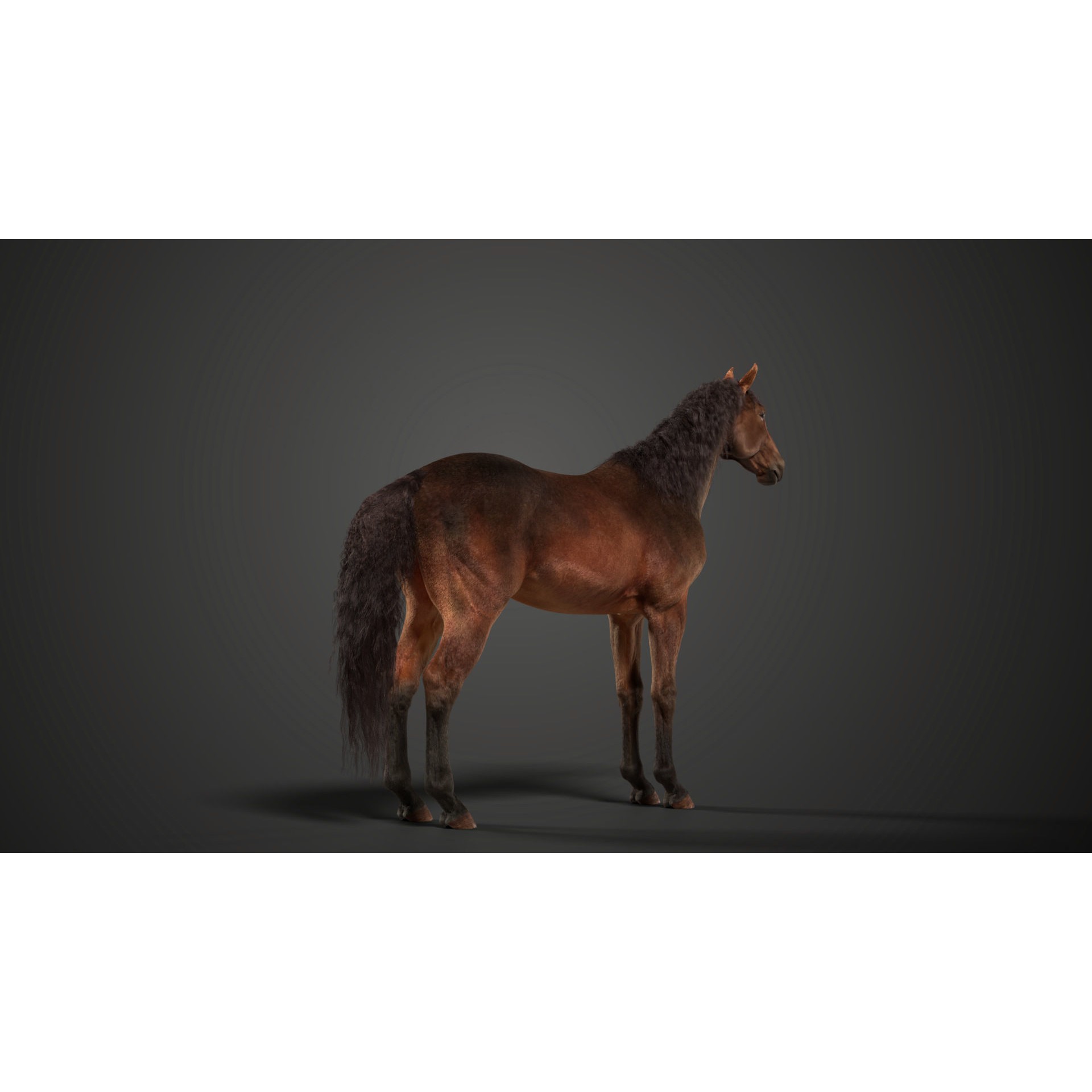 Brown Horse Animation - Game-Ready 3D Model - View 10