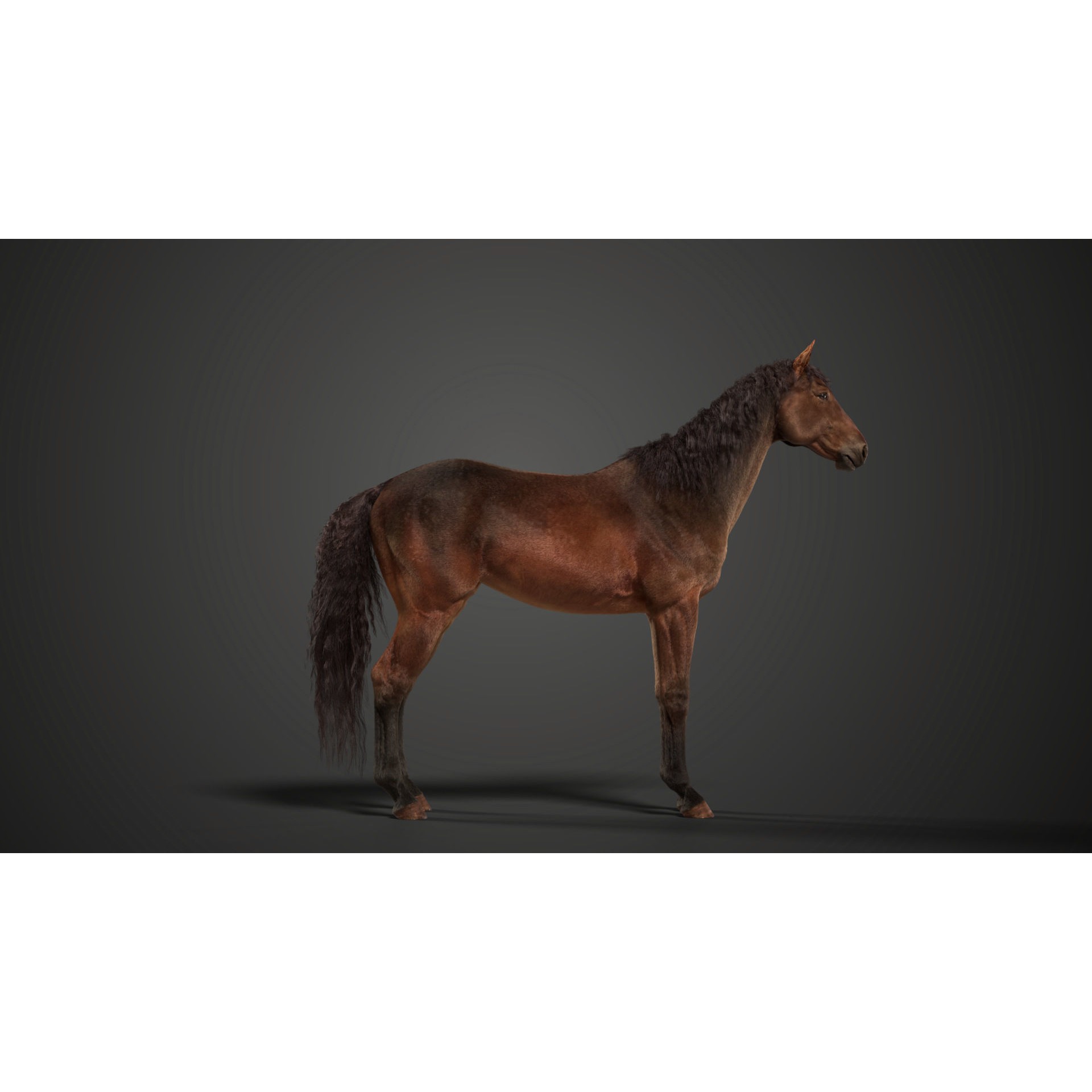 Brown Horse Animation - Game-Ready 3D Model - View 11