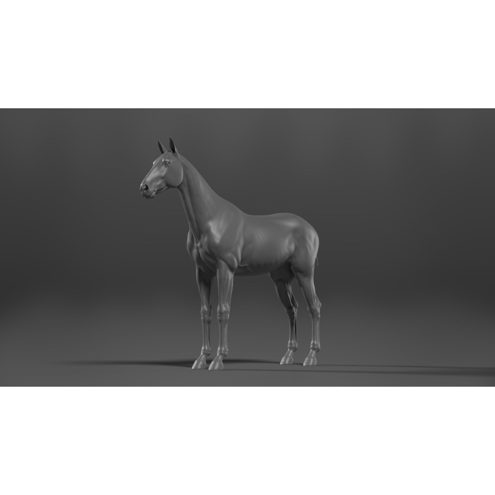 Brown Horse Animation - Game-Ready 3D Model - View 13