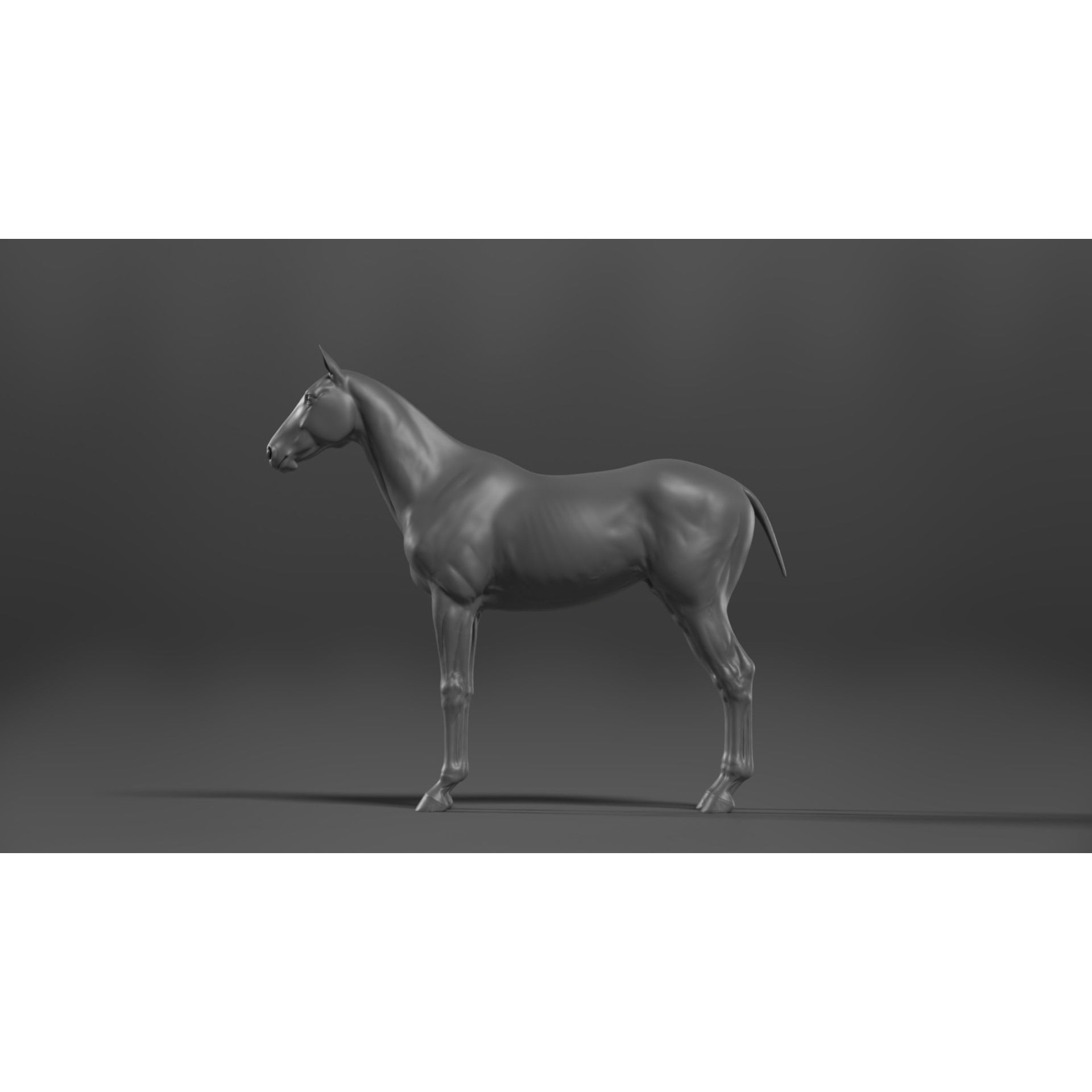 Brown Horse Animation - Game-Ready 3D Model - View 14