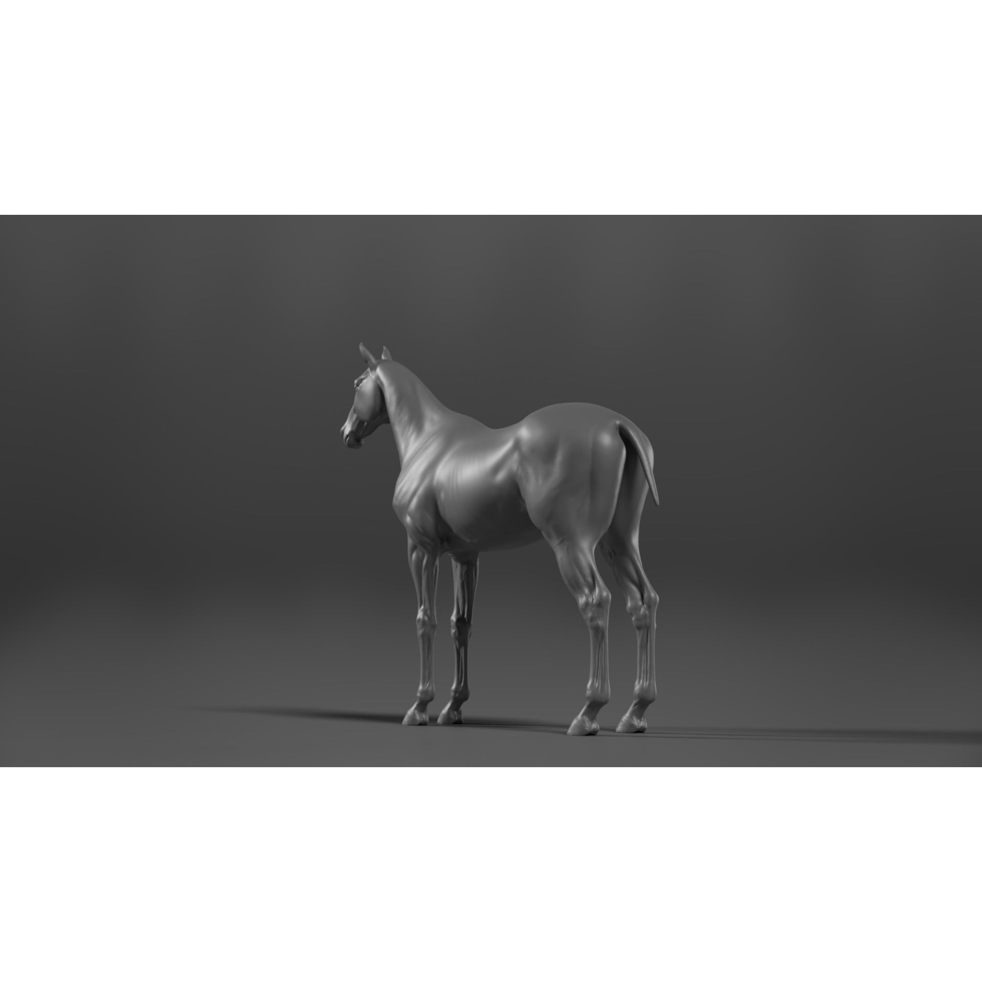 Brown Horse Animation - Game-Ready 3D Model - View 15