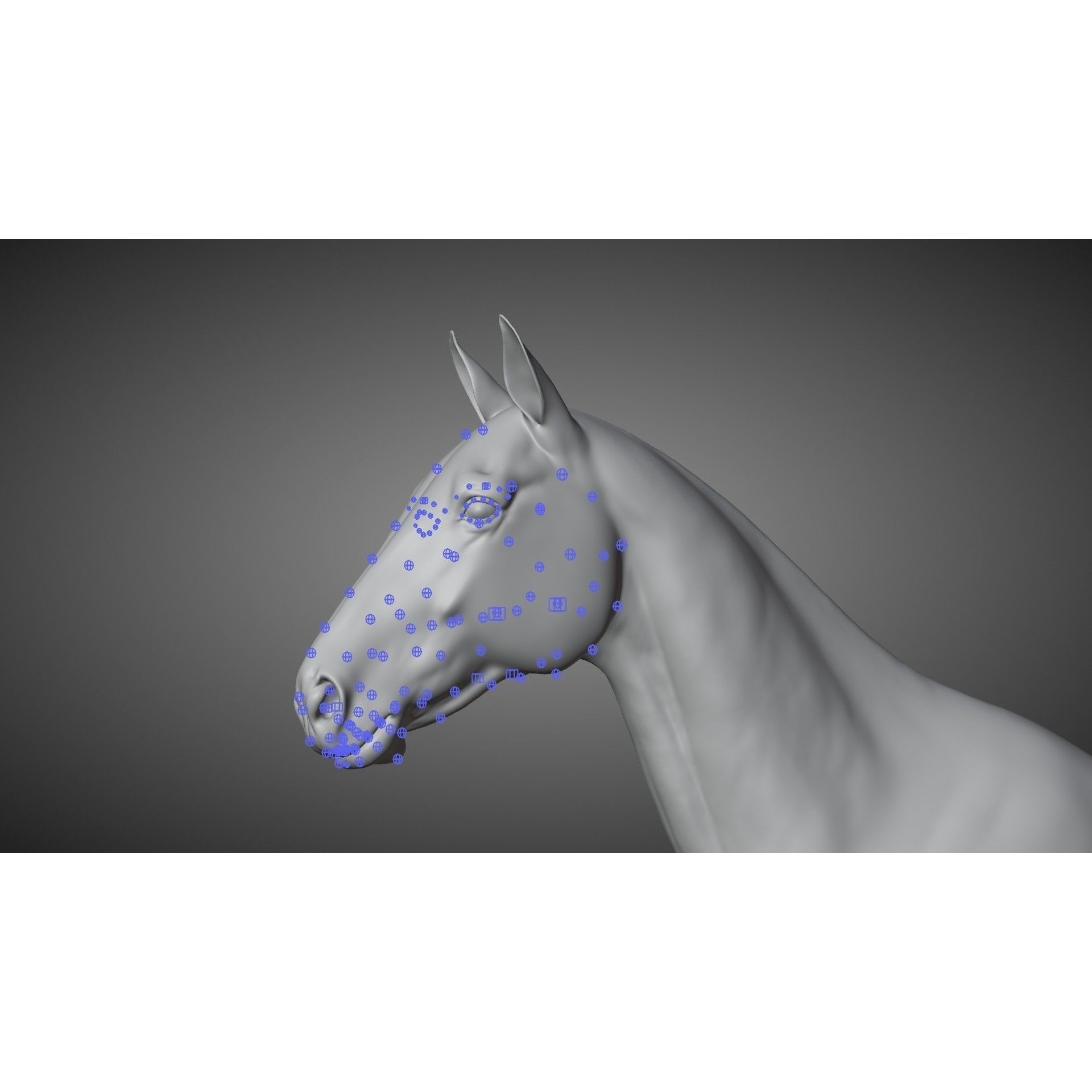 Brown Horse Animation - Game-Ready 3D Model - View 20
