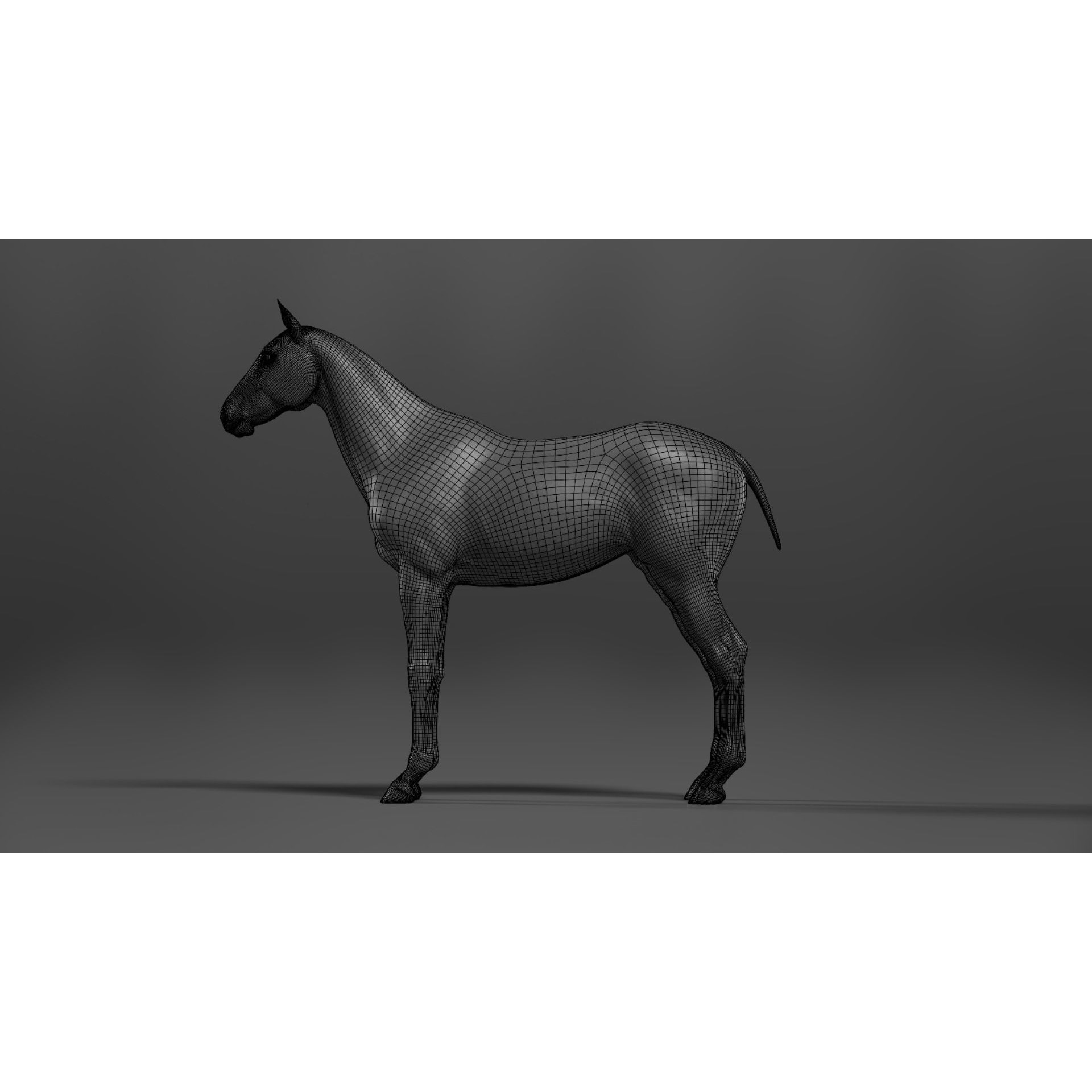 Brown Horse Animation - Game-Ready 3D Model - View 27