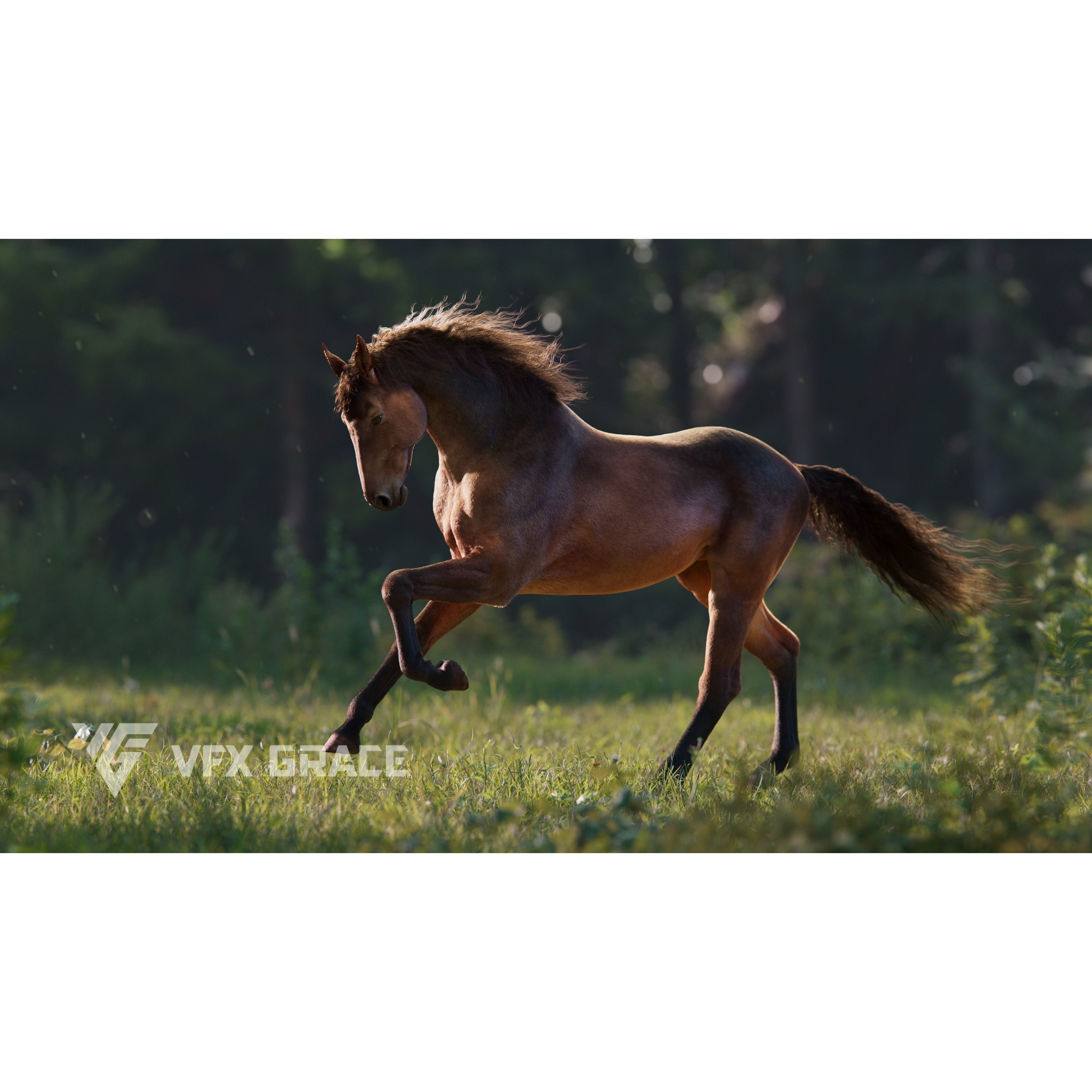 Brown Horse Animation - Game-Ready 3D Model - View 3