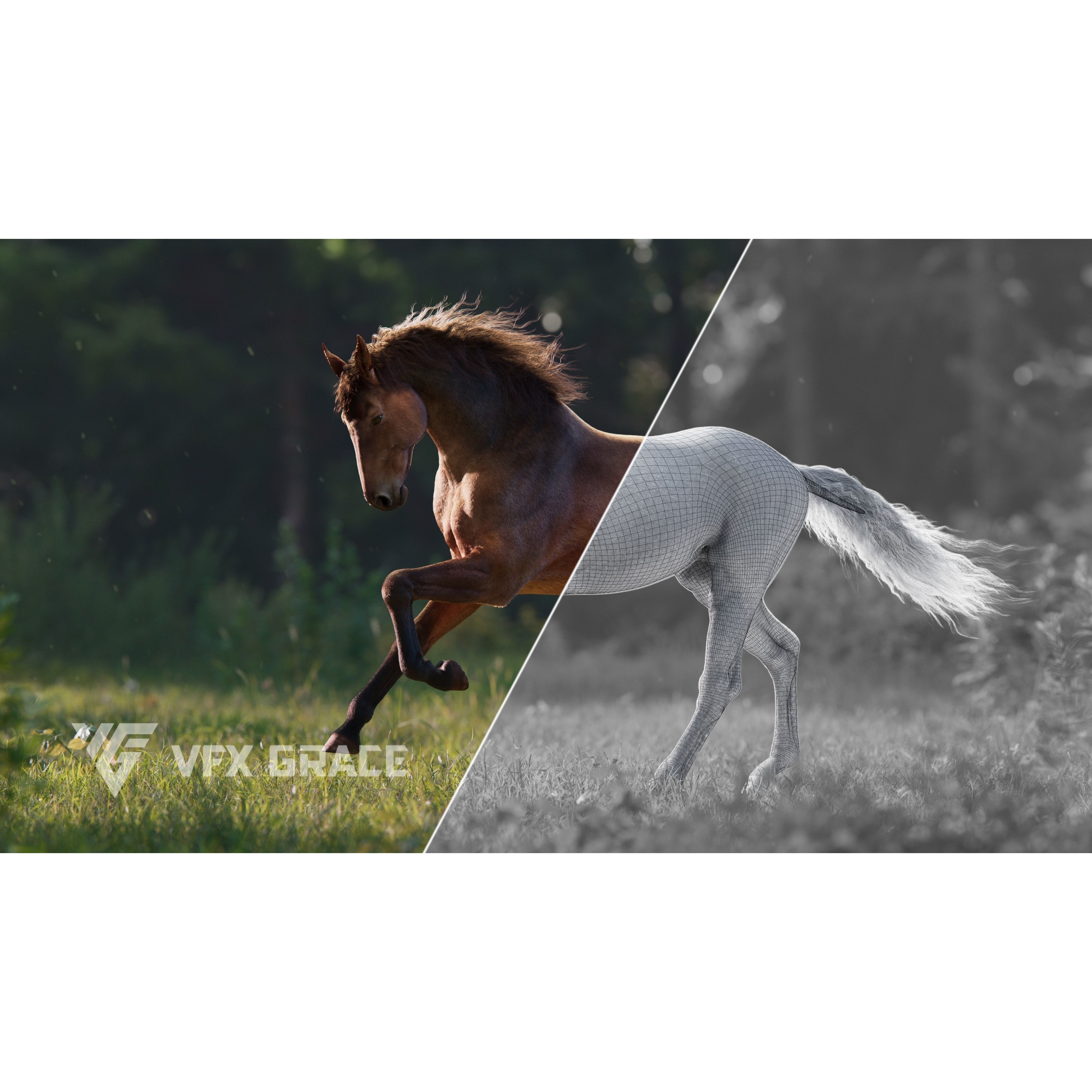 Brown Horse Animation - Game-Ready 3D Model - View 4