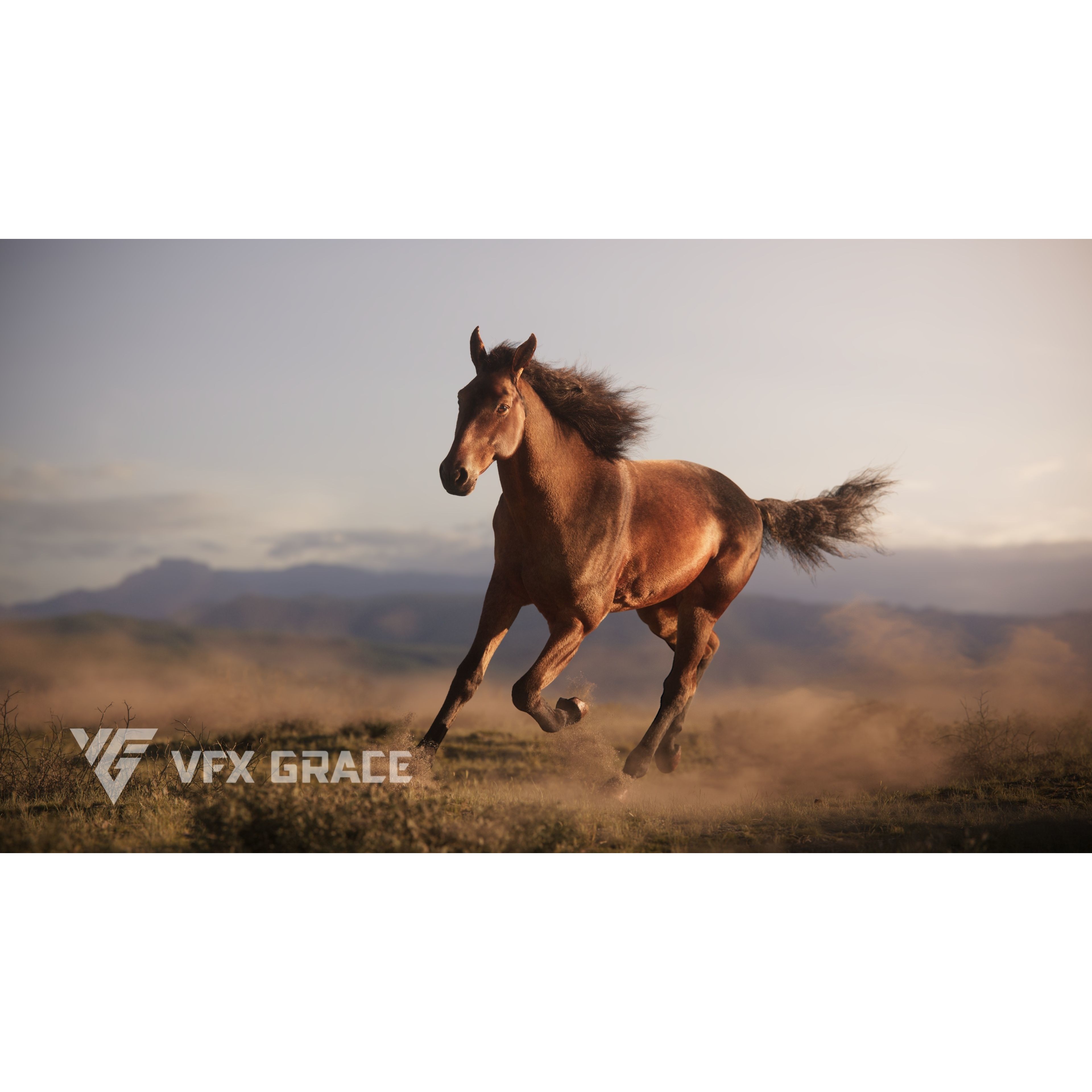 Brown Horse Animation - Game-Ready 3D Model - View 5