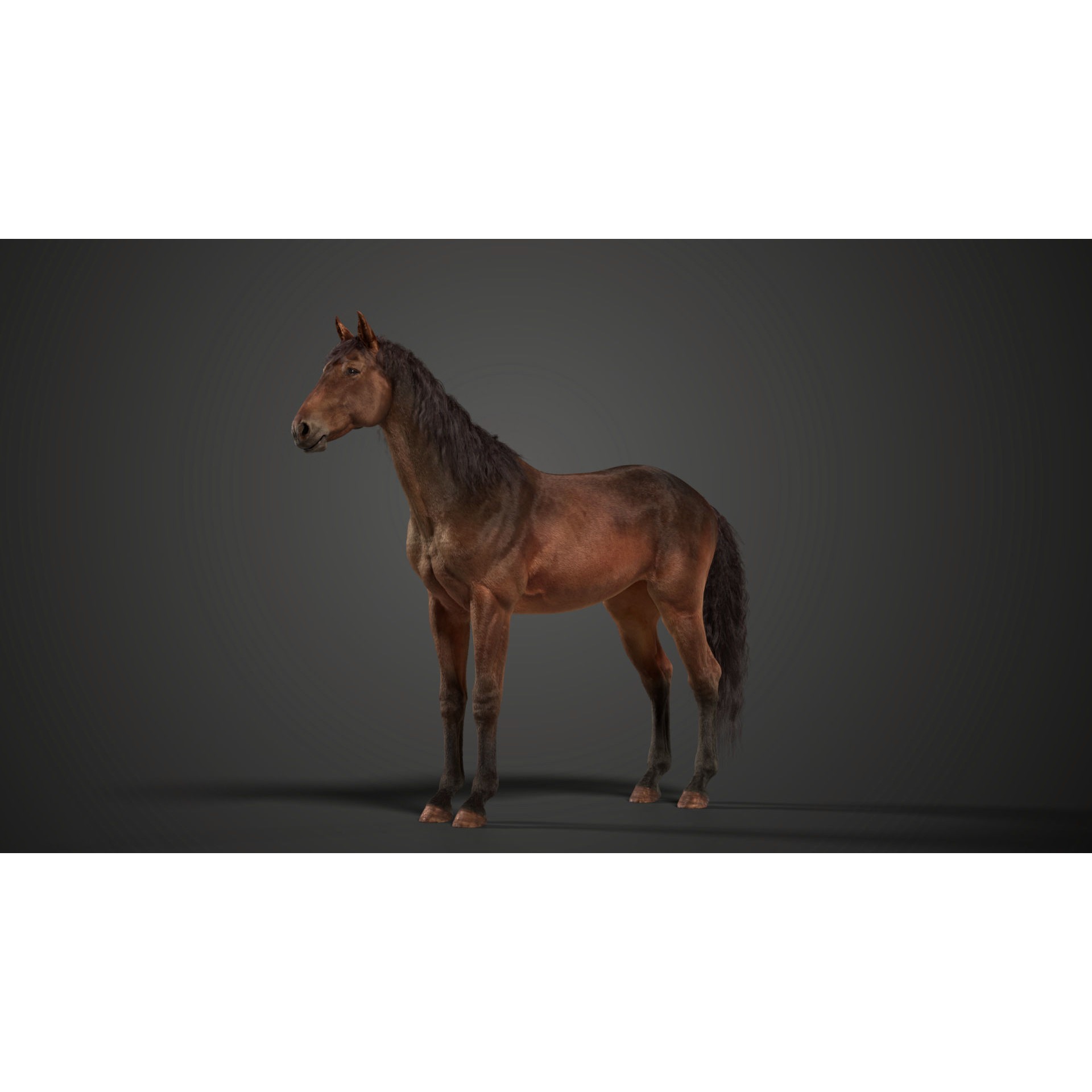 Brown Horse Animation - Game-Ready 3D Model - View 7