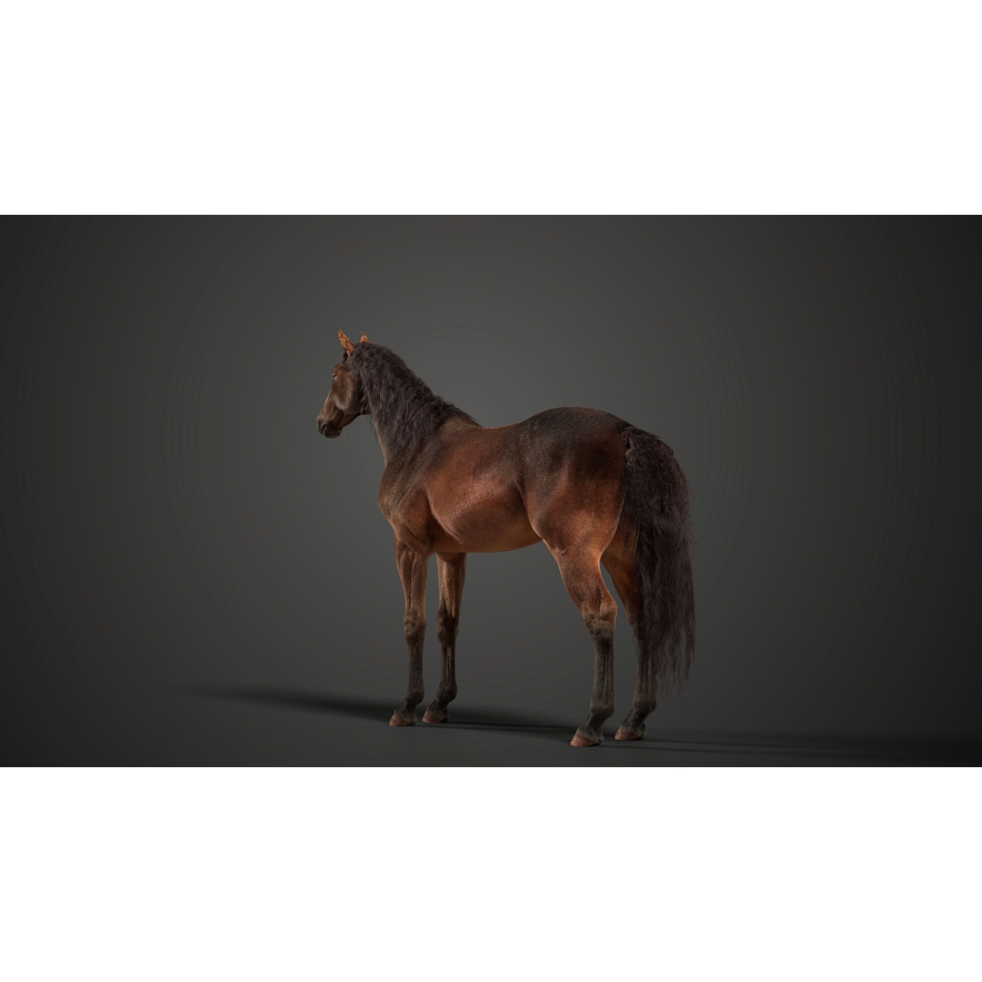 Brown Horse Animation - Game-Ready 3D Model - View 9