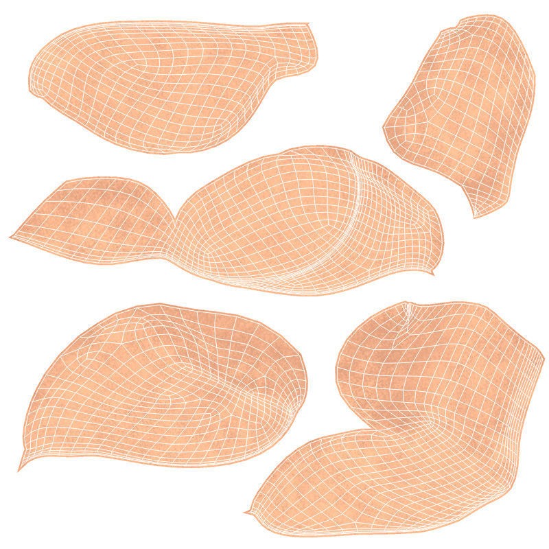 Ultimate Male Anatomy 3D Model – Advanced Rigged Character with 50+ Animations