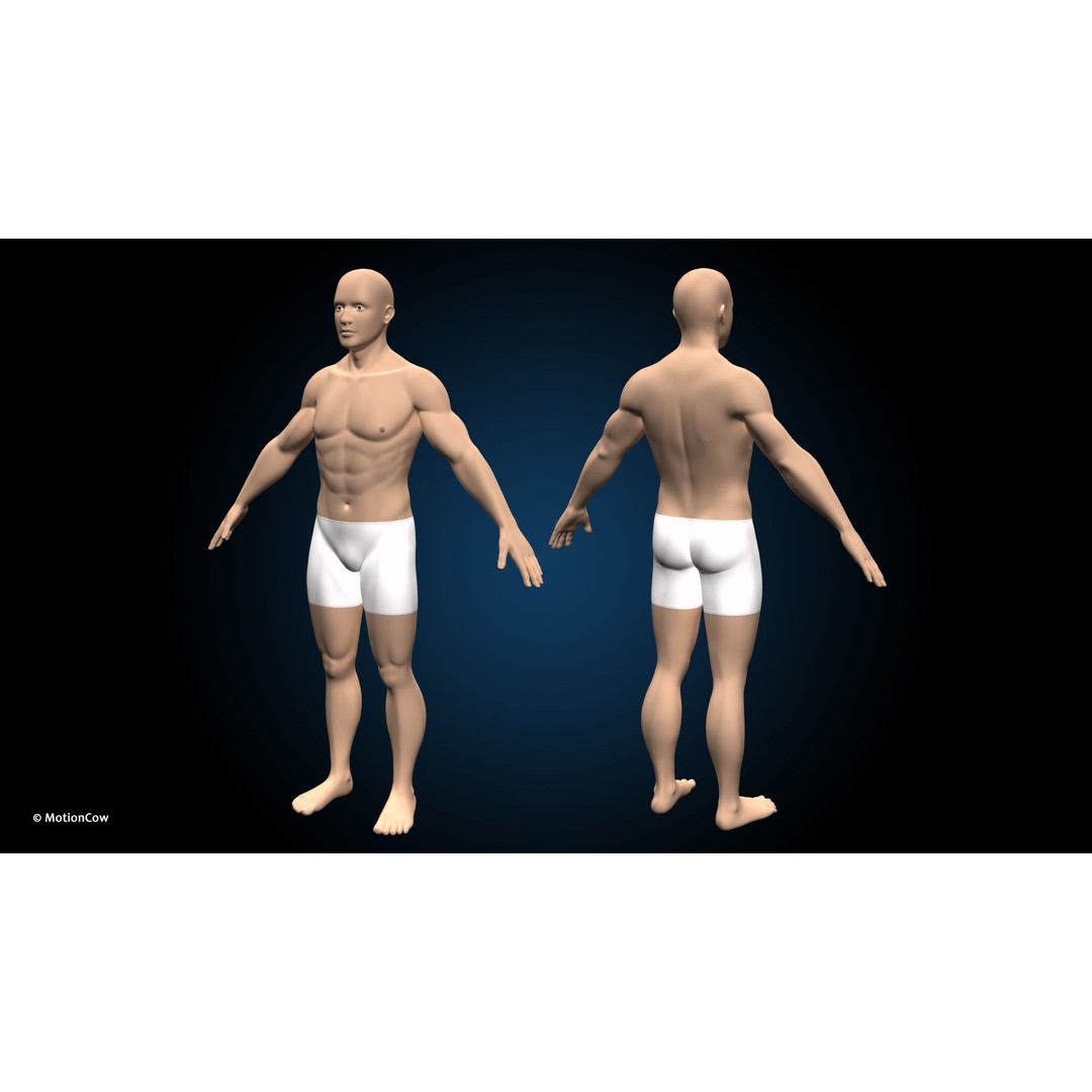 Ultimate Male Anatomy 3D Model – Advanced Rigged Character with 50+ Animations - View 19
