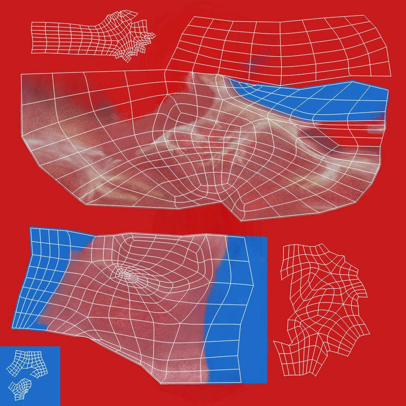 Ultimate Male Anatomy 3D Model – Advanced Rigged Character with 50+ Animations - View 58