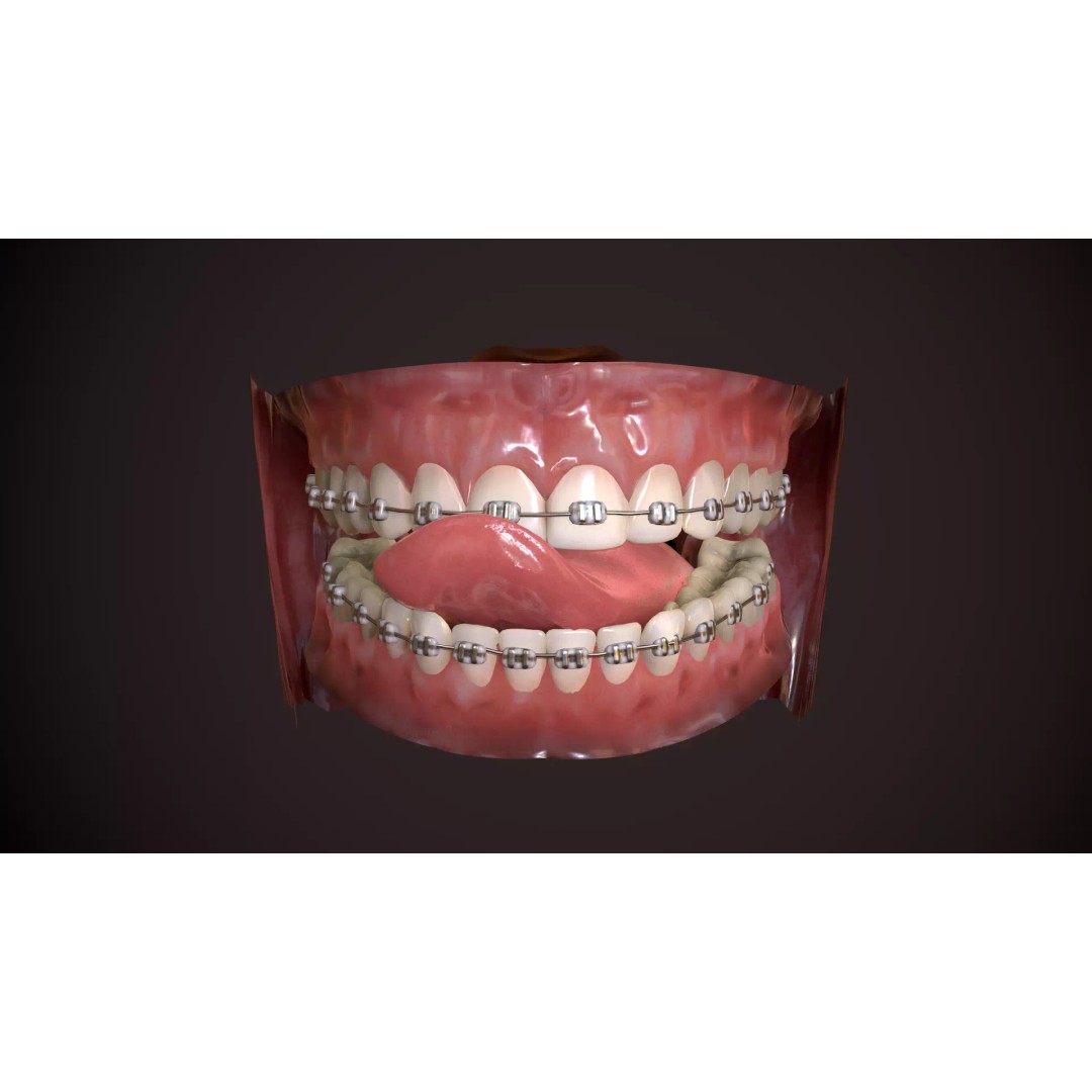 Great Teeth Collection 3D Model – Low-Poly Character Mouth, FBX & OBJ - View 2