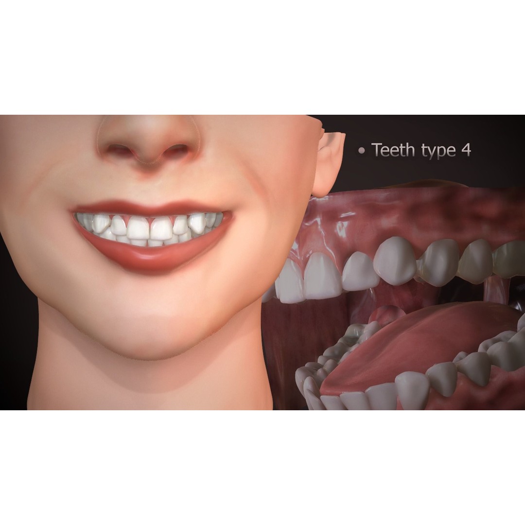 Great Teeth Collection 3D Model – Low-Poly Character Mouth, FBX & OBJ - View 23