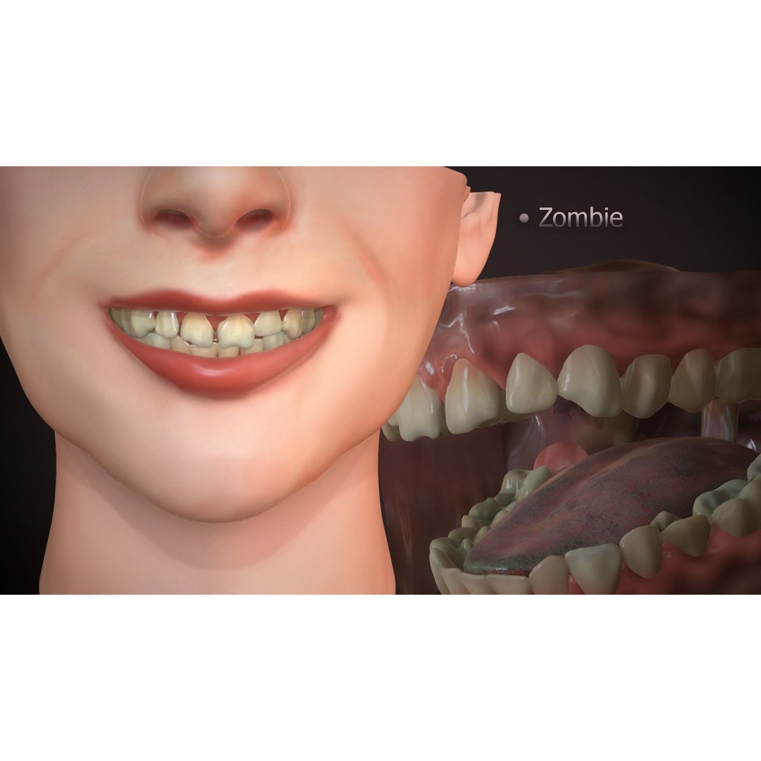 Great Teeth Collection 3D Model – Low-Poly Character Mouth, FBX & OBJ - View 27