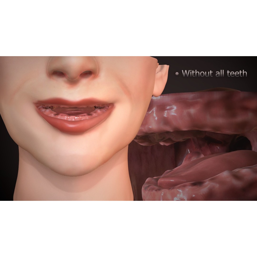 Great Teeth Collection 3D Model – Low-Poly Character Mouth, FBX & OBJ - View 31