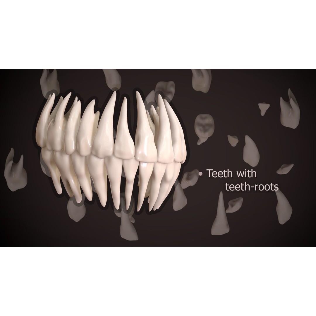 Great Teeth Collection 3D Model – Low-Poly Character Mouth, FBX & OBJ - View 35