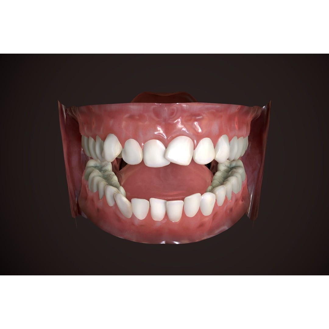 Great Teeth Collection 3D Model – Low-Poly Character Mouth, FBX & OBJ - View 4