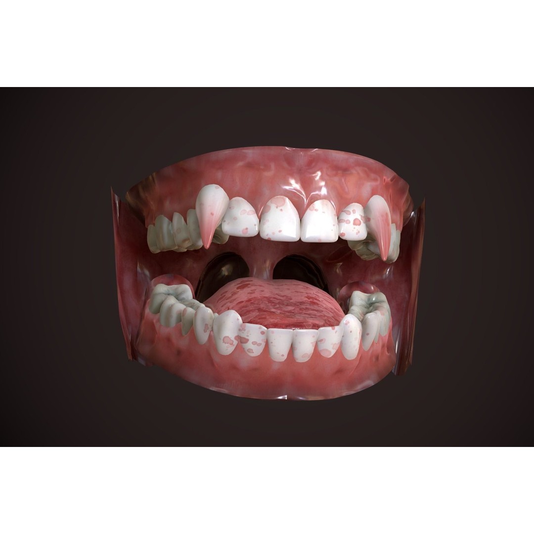 Great Teeth Collection 3D Model – Low-Poly Character Mouth, FBX & OBJ - View 5