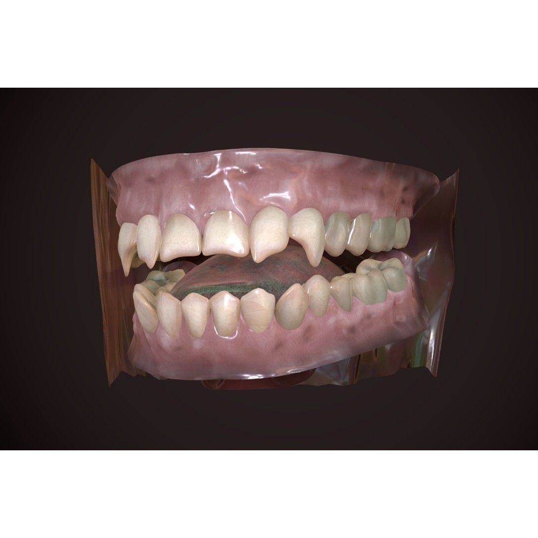 Great Teeth Collection 3D Model – Low-Poly Character Mouth, FBX & OBJ - View 7