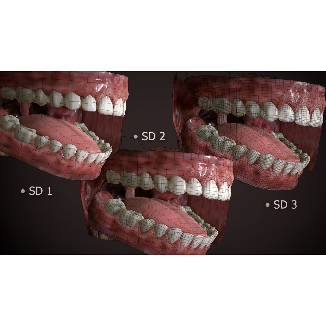 Great Teeth Collection 3D Model – Low-Poly Character Mouth, FBX & OBJ - View 9