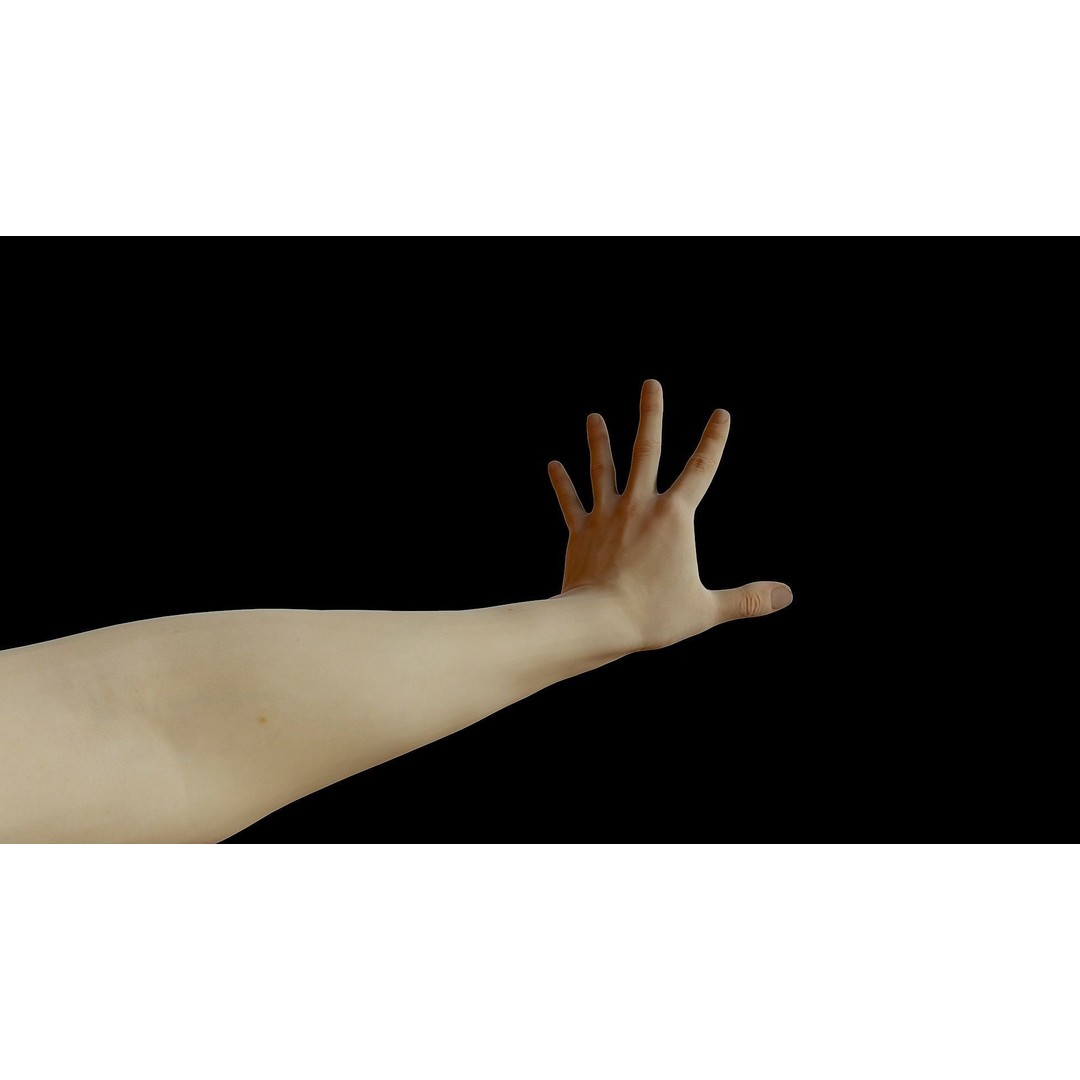 Realistic Female Arms 3D Model – Low Poly 25 Poses, OBJ & STL - View 11