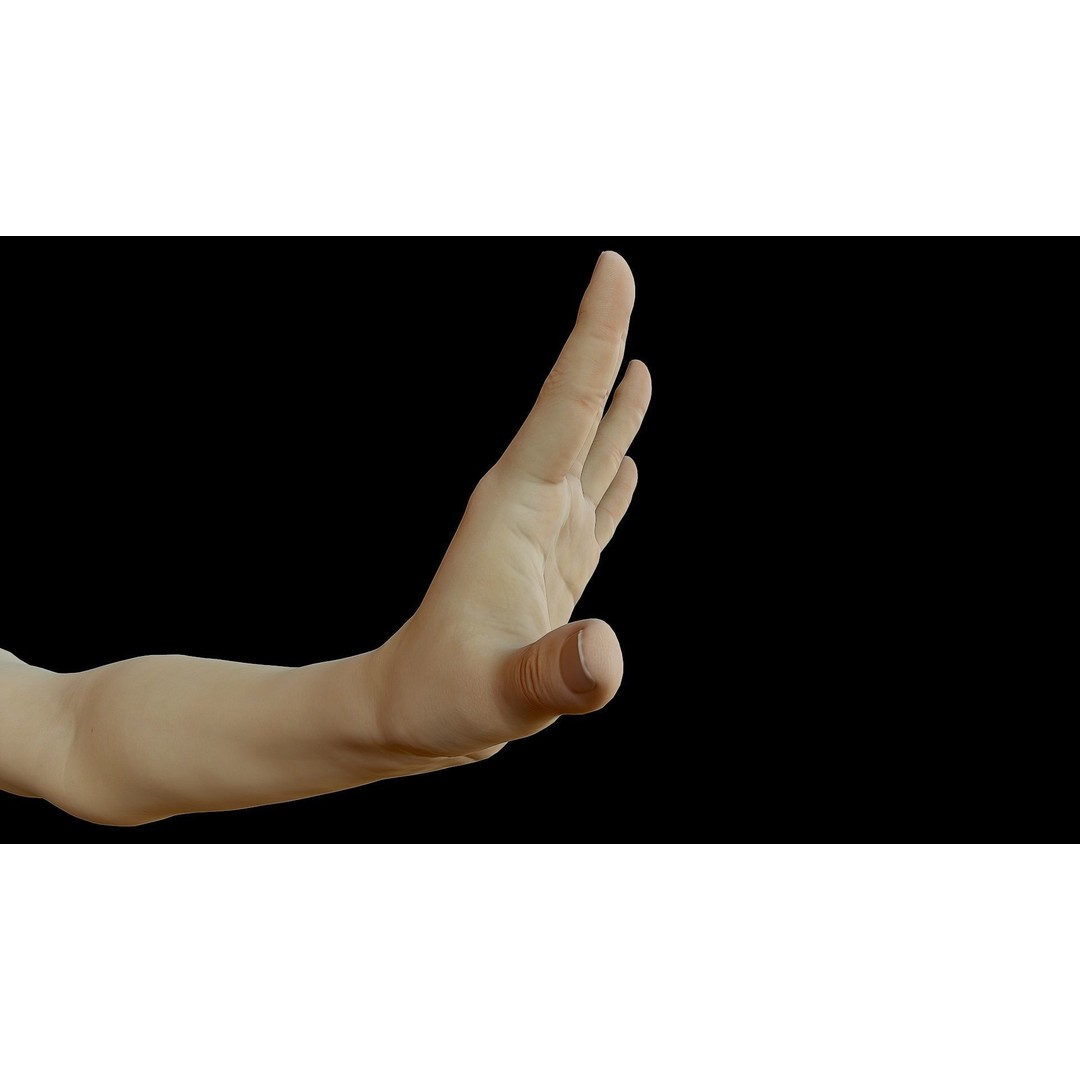 Realistic Female Arms 3D Model – Low Poly 25 Poses, OBJ & STL - View 16