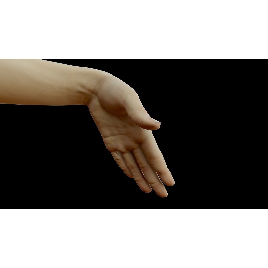 Realistic Female Arms 3D Model – Low Poly 25 Poses, OBJ & STL - View 17