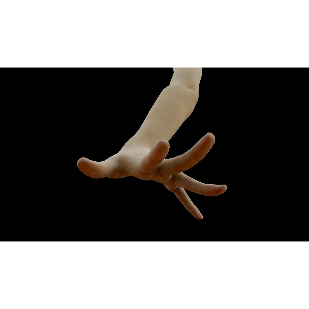 Realistic Female Arms 3D Model – Low Poly 25 Poses, OBJ & STL - View 18
