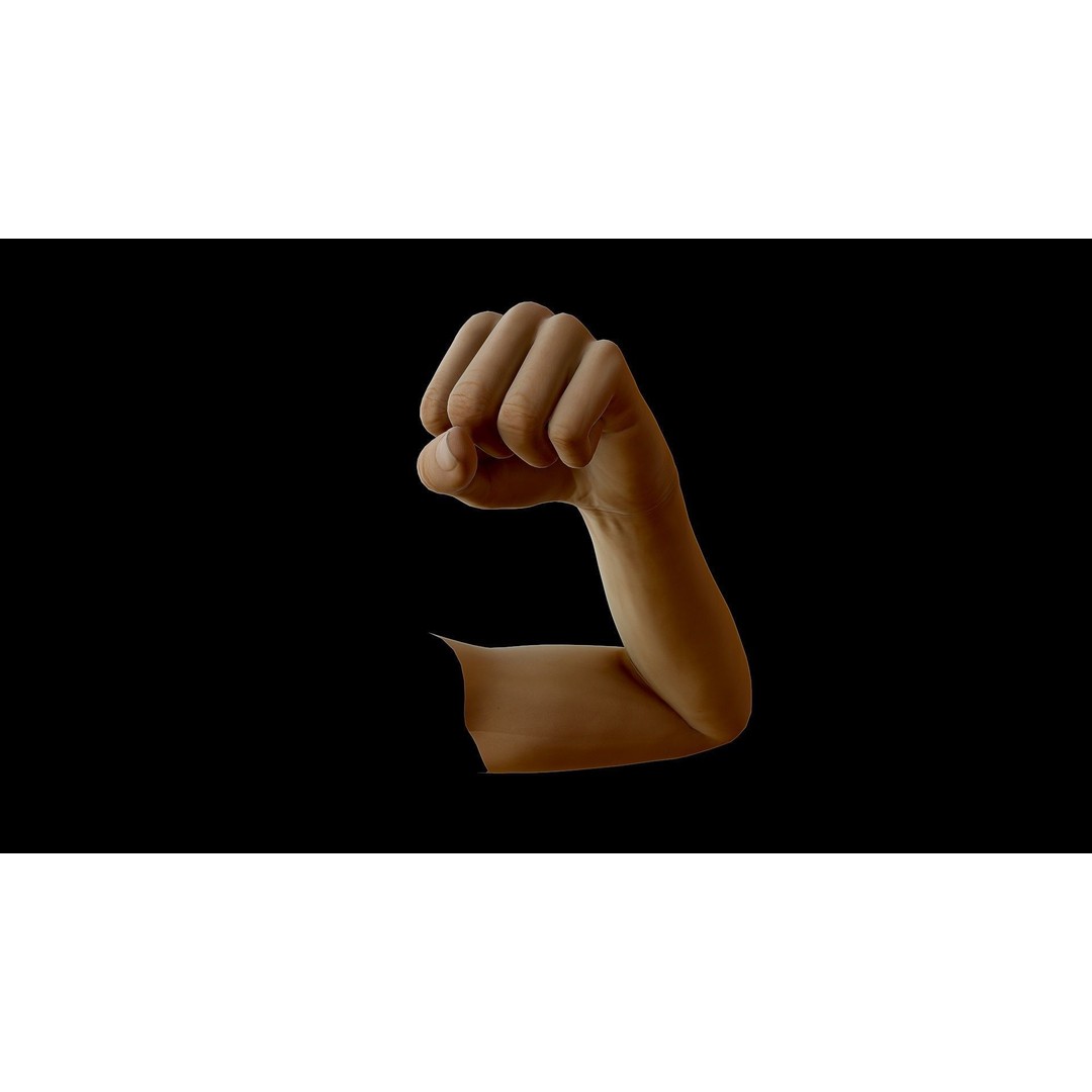 Realistic Female Arms 3D Model – Low Poly 25 Poses, OBJ & STL - View 31
