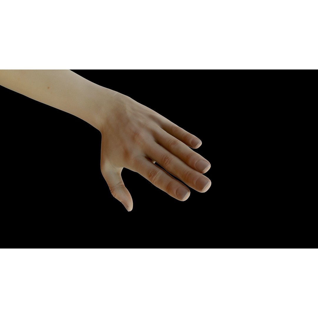 Realistic Female Arms 3D Model – Low Poly 25 Poses, OBJ & STL - View 35