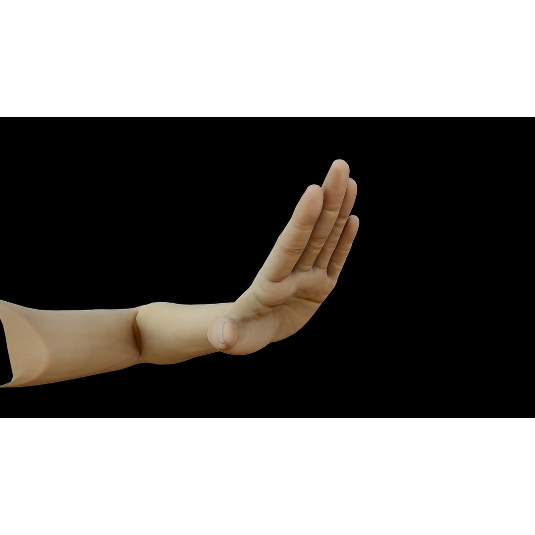 Realistic Female Arms 3D Model – Low Poly 25 Poses, OBJ & STL - View 36