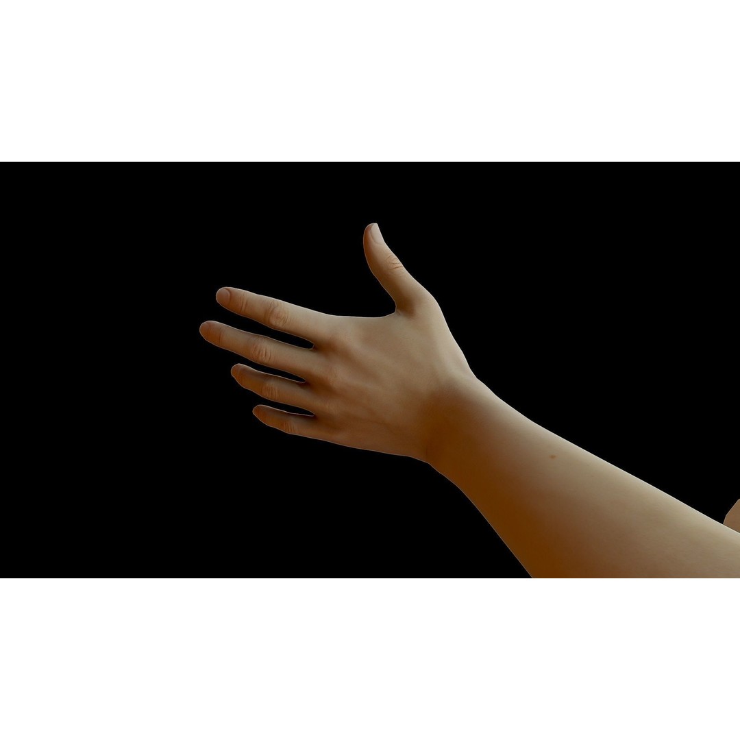 Realistic Female Arms 3D Model – Low Poly 25 Poses, OBJ & STL - View 37
