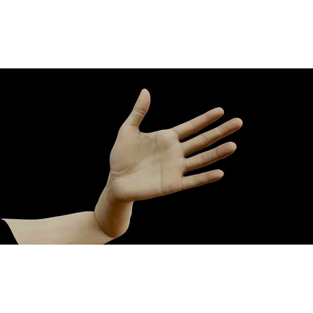 Realistic Female Arms 3D Model – Low Poly 25 Poses, OBJ & STL - View 38