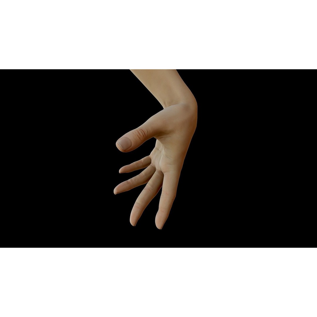 Realistic Female Arms 3D Model – Low Poly 25 Poses, OBJ & STL - View 41