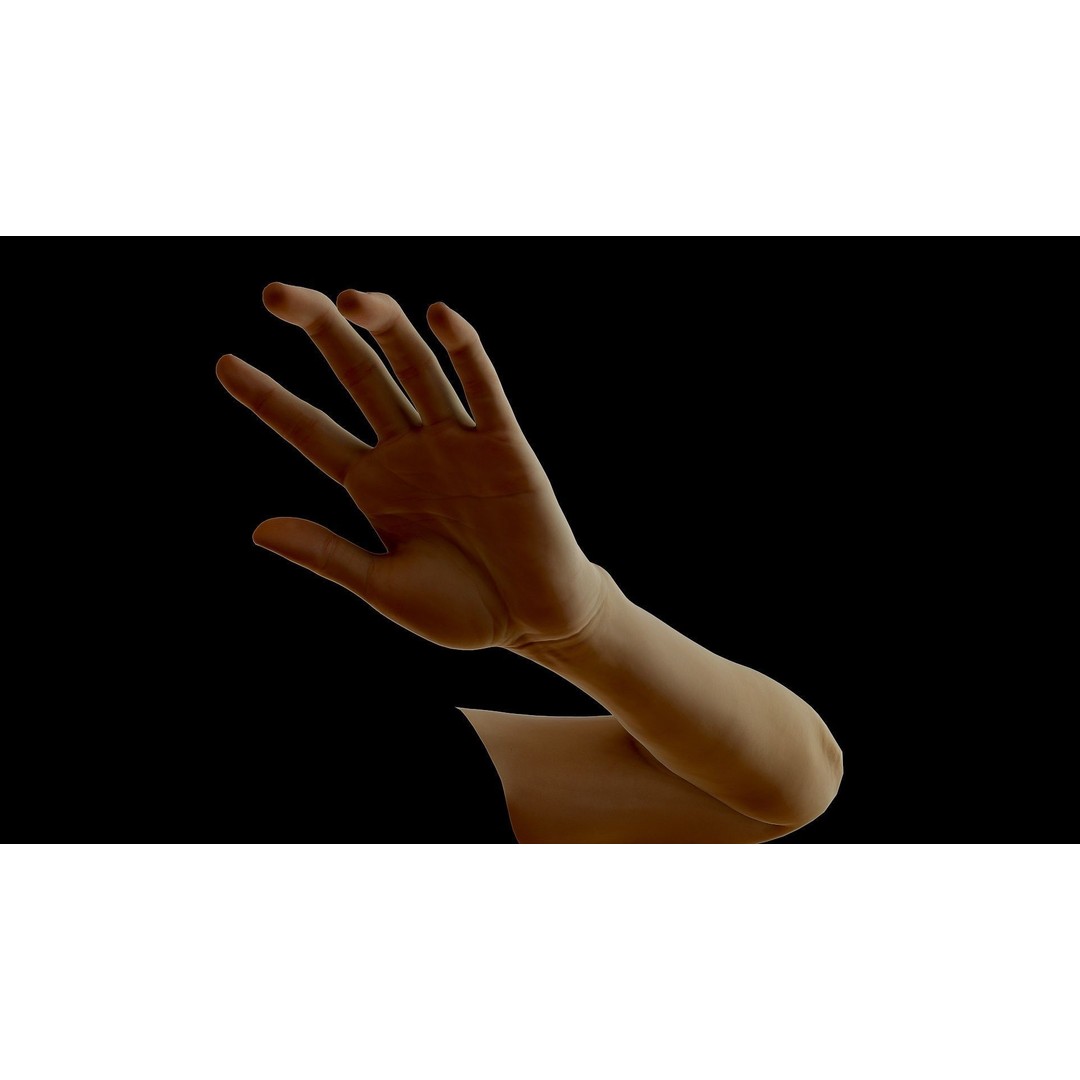Realistic Female Arms 3D Model – Low Poly 25 Poses, OBJ & STL - View 45