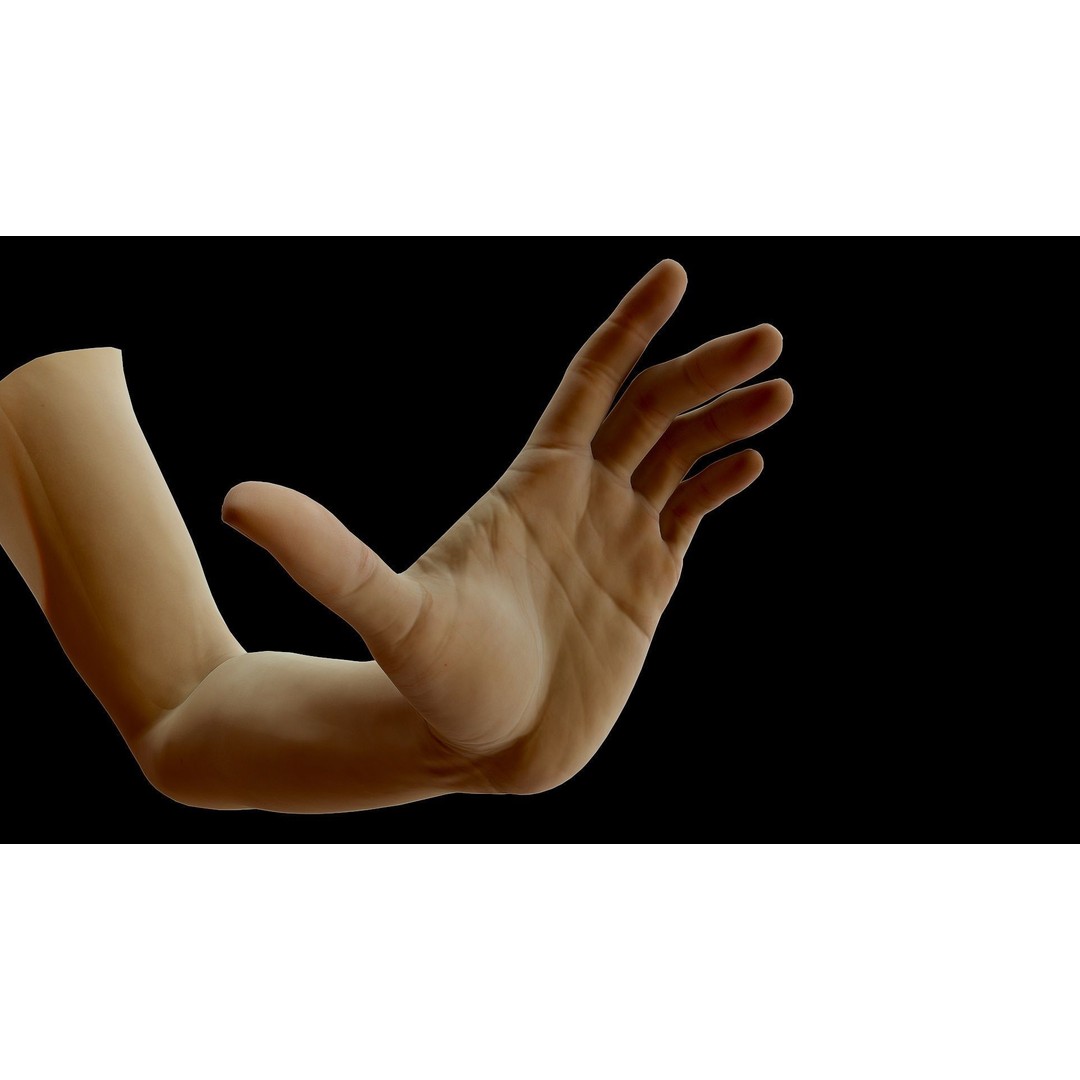Realistic Female Arms 3D Model – Low Poly 25 Poses, OBJ & STL - View 52