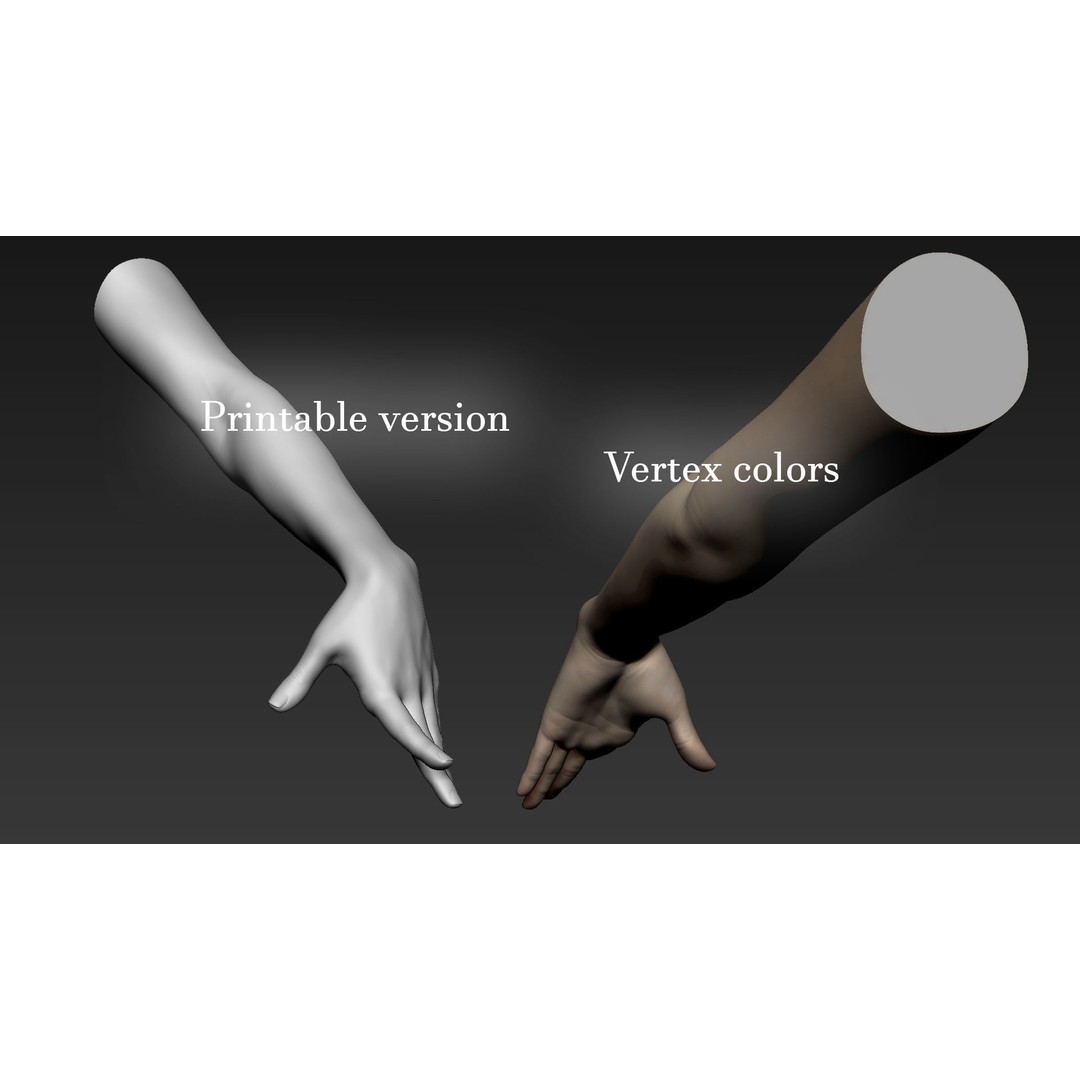 Realistic Female Arms 3D Model – Low Poly 25 Poses, OBJ & STL - View 57
