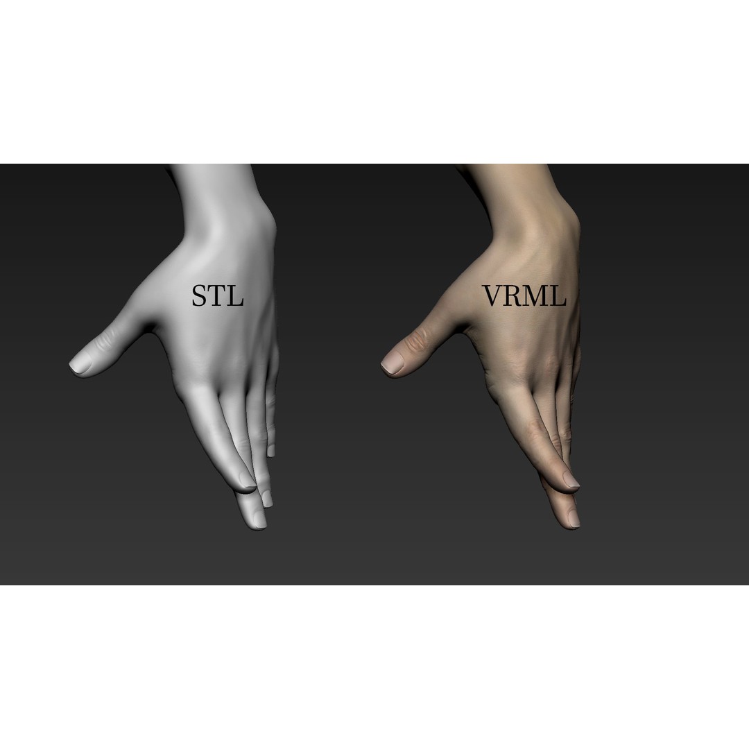 Realistic Female Arms 3D Model – Low Poly 25 Poses, OBJ & STL - View 58