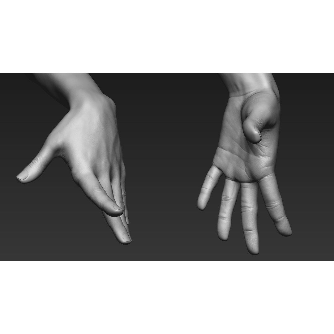 Realistic Female Arms 3D Model – Low Poly 25 Poses, OBJ & STL - View 60