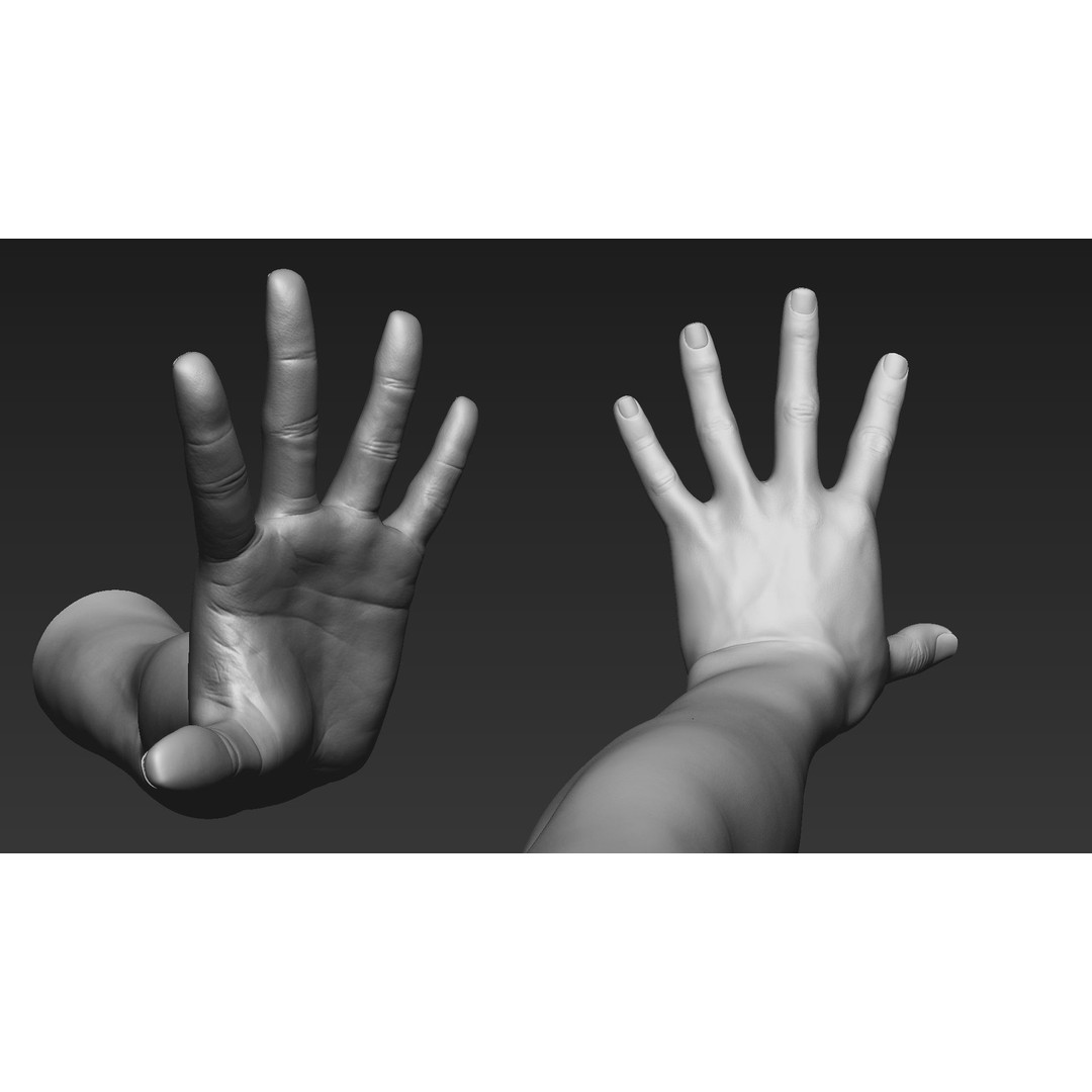 Realistic Female Arms 3D Model – Low Poly 25 Poses, OBJ & STL - View 62