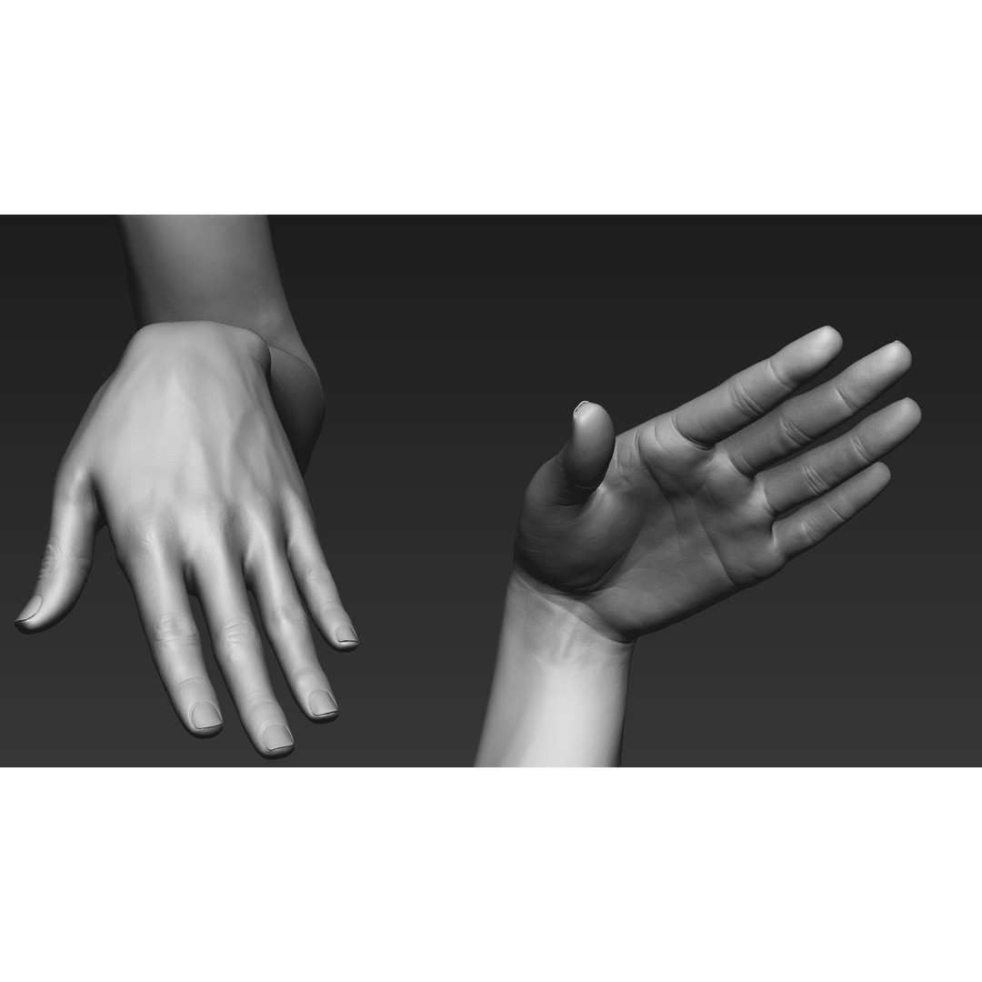 Realistic Female Arms 3D Model – Low Poly 25 Poses, OBJ & STL - View 63