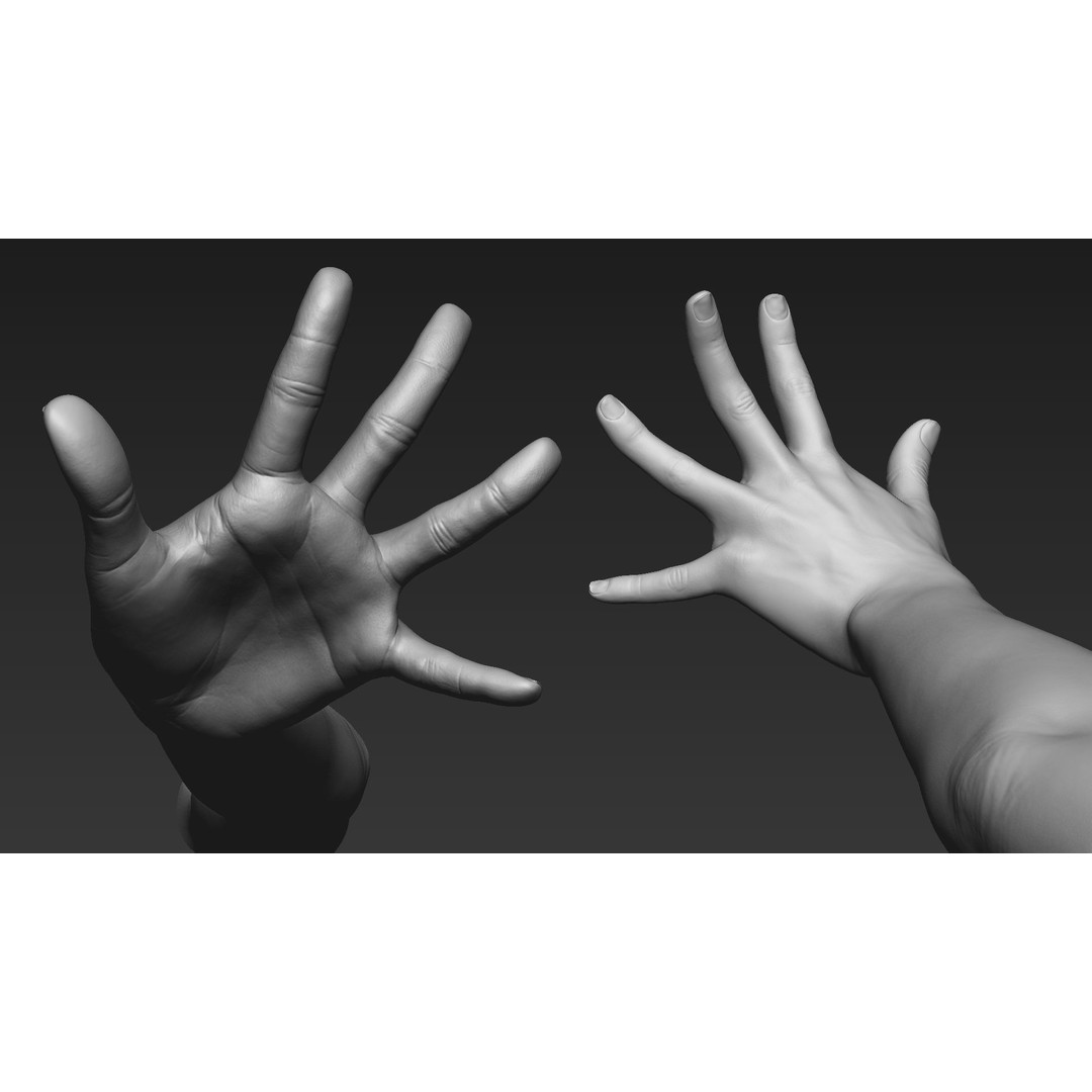 Realistic Female Arms 3D Model – Low Poly 25 Poses, OBJ & STL - View 64