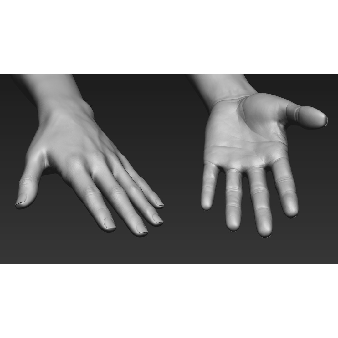 Realistic Female Arms 3D Model – Low Poly 25 Poses, OBJ & STL - View 70