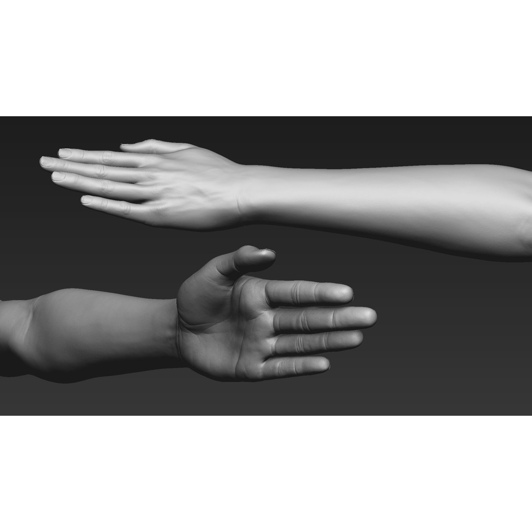 Realistic Female Arms 3D Model – Low Poly 25 Poses, OBJ & STL - View 73