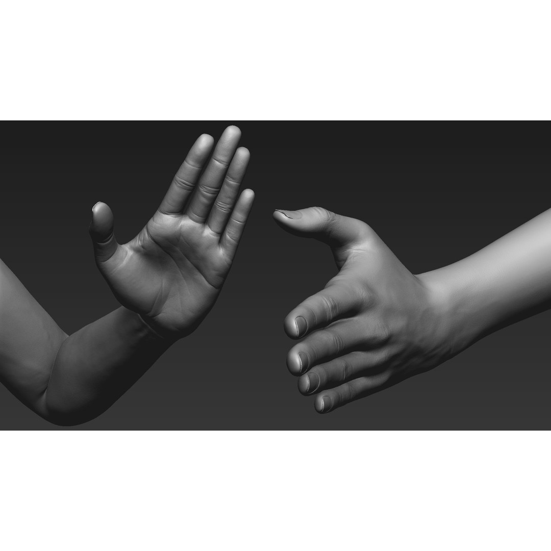 Realistic Female Arms 3D Model – Low Poly 25 Poses, OBJ & STL - View 74
